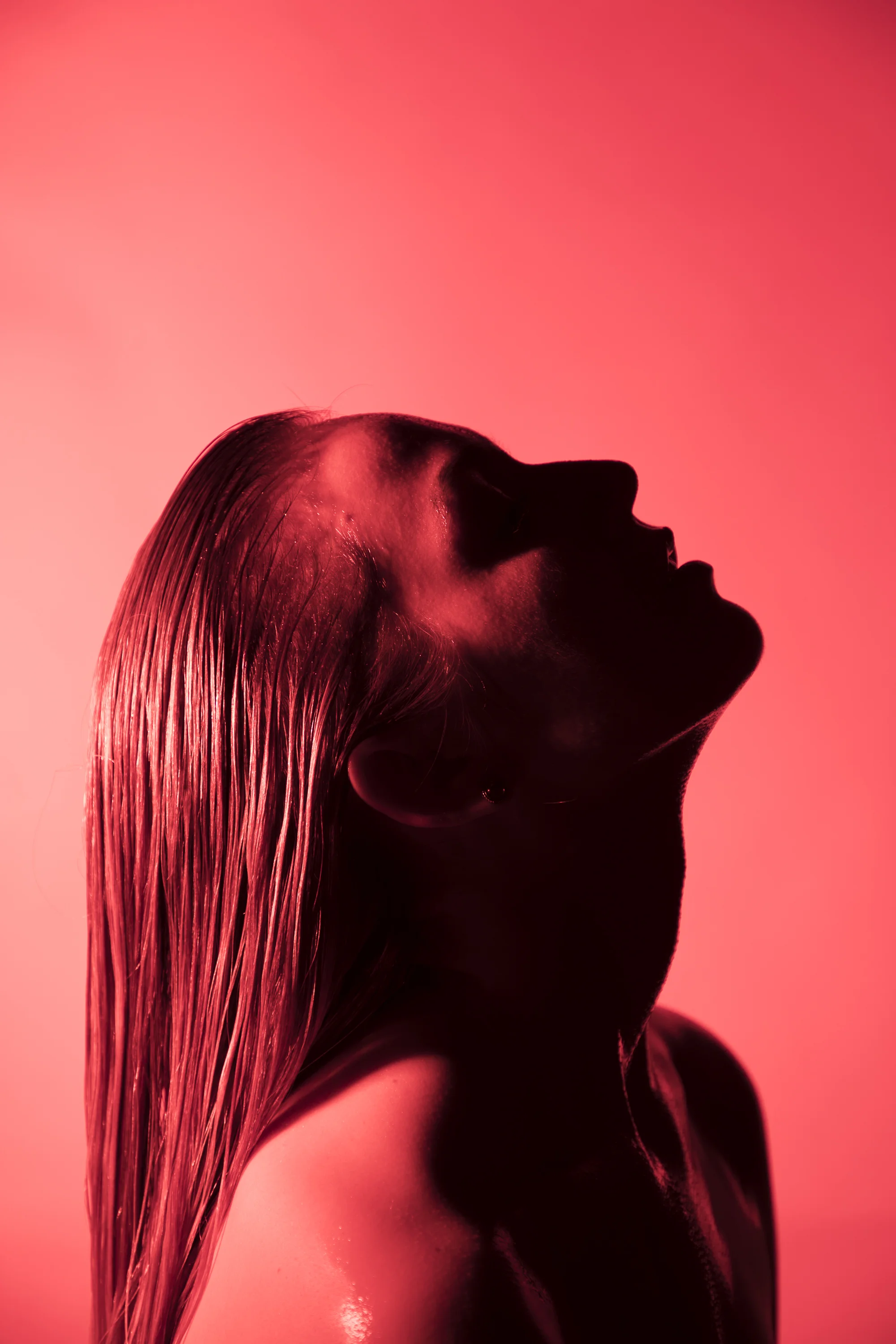Red Allie-2.jpg