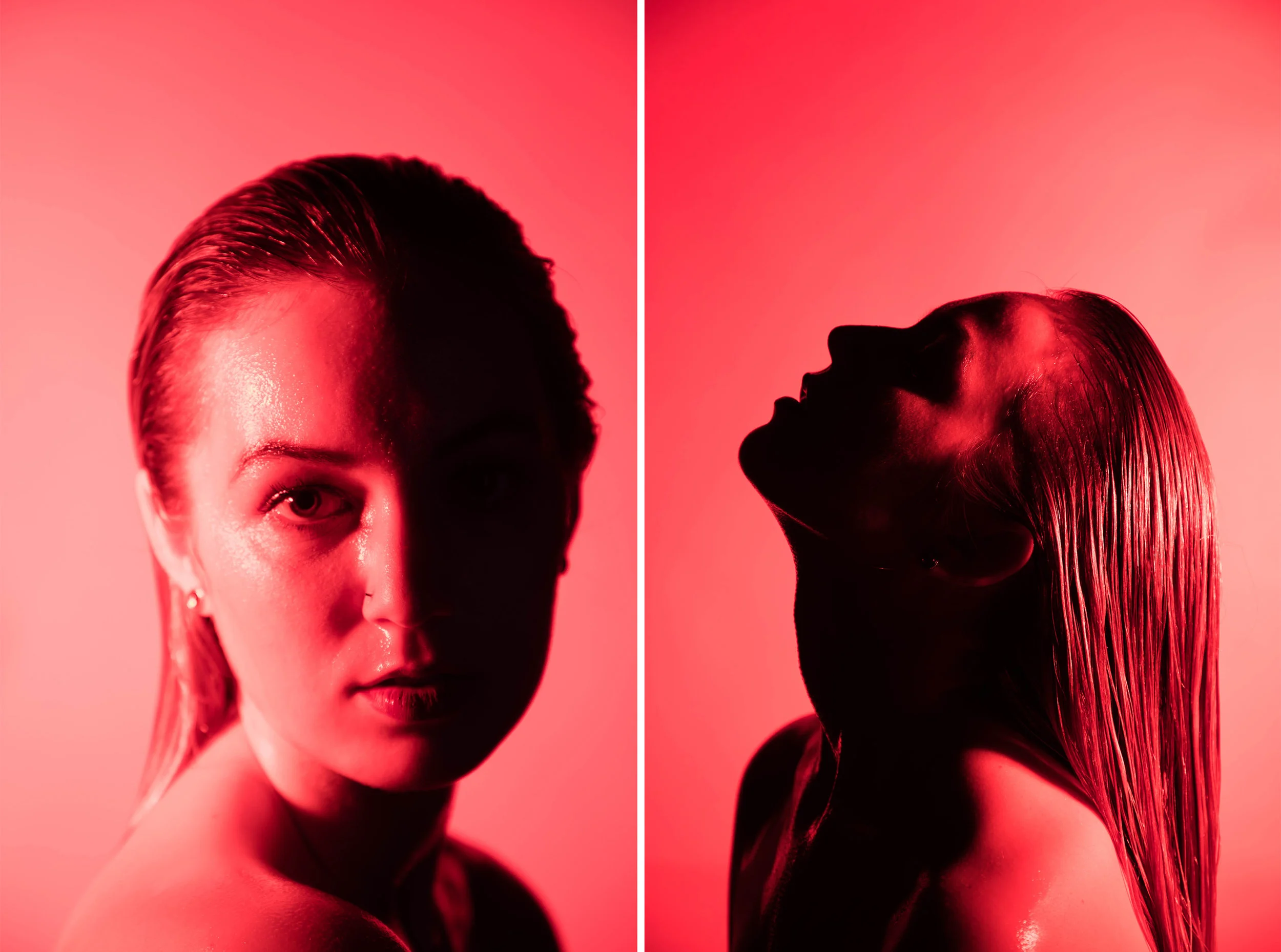 Allie Diptych.jpg