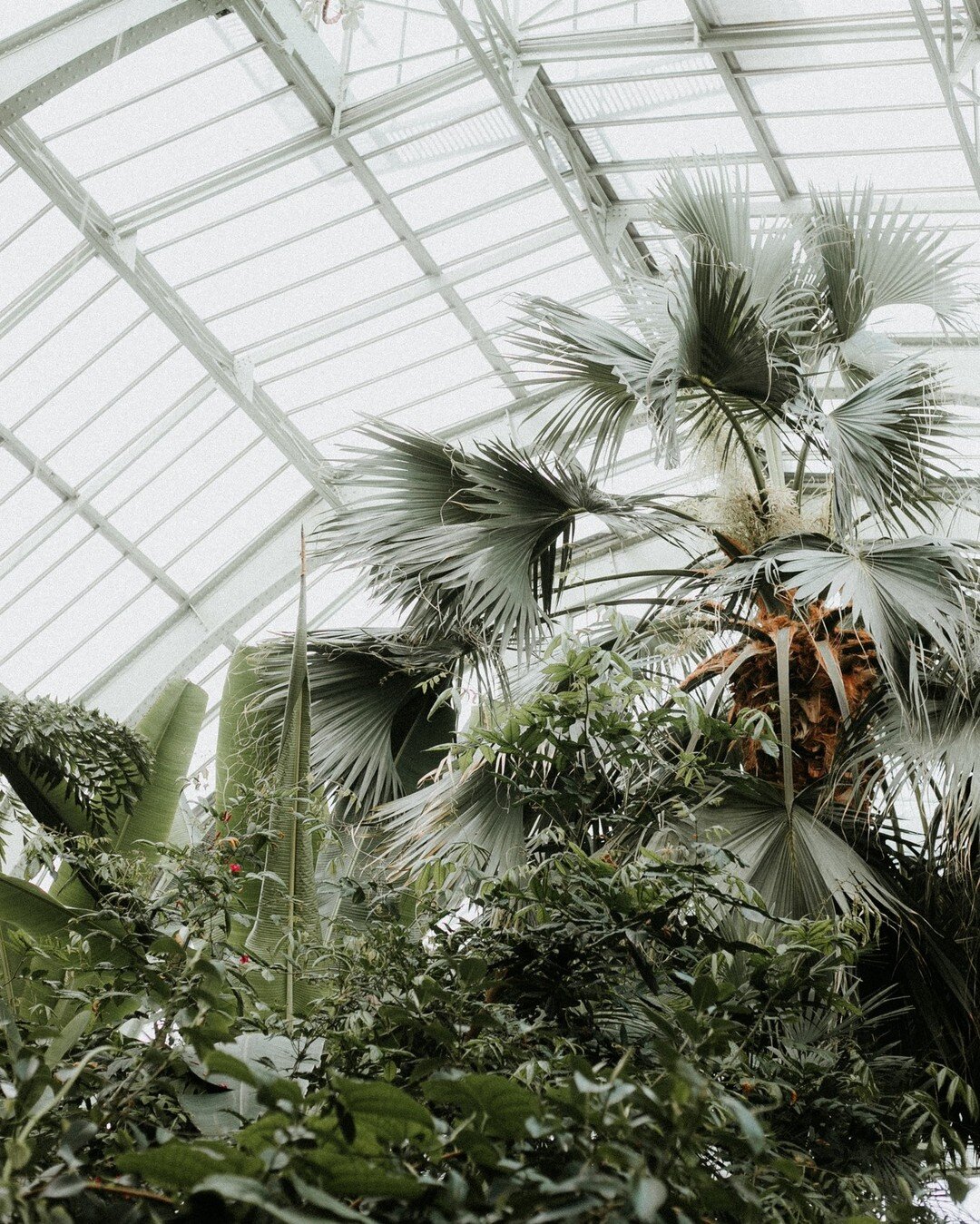 Les Grandes Serres du Jardin des Plantes 🌿