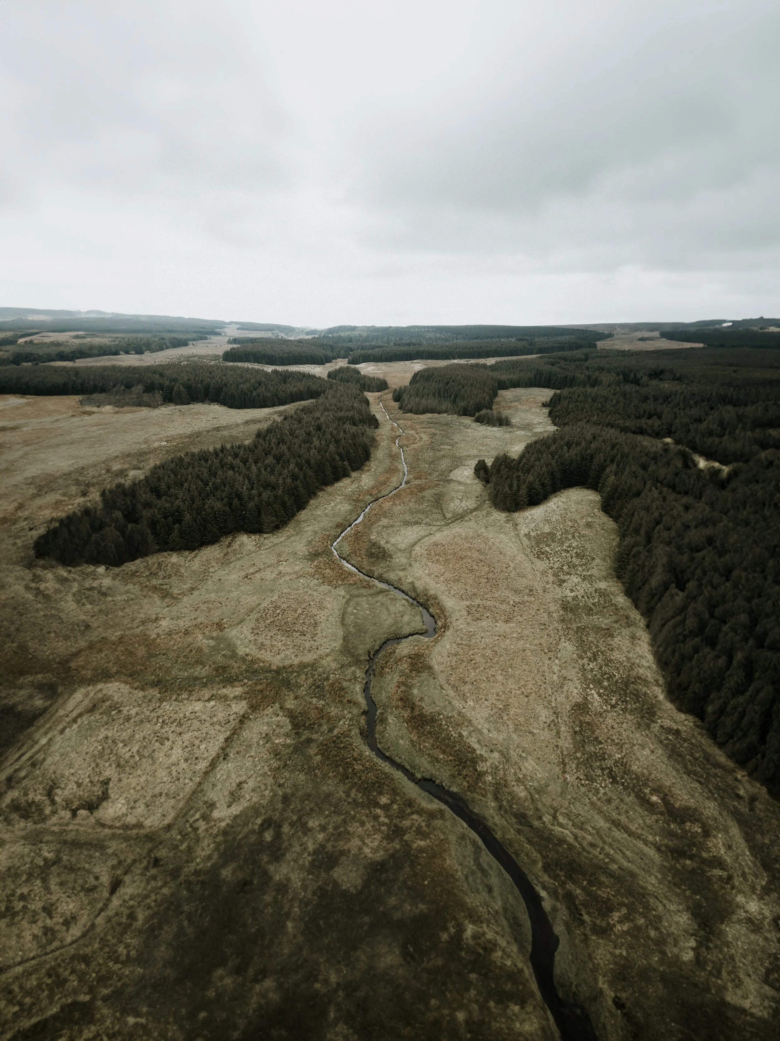 DJI_0298-1.jpg