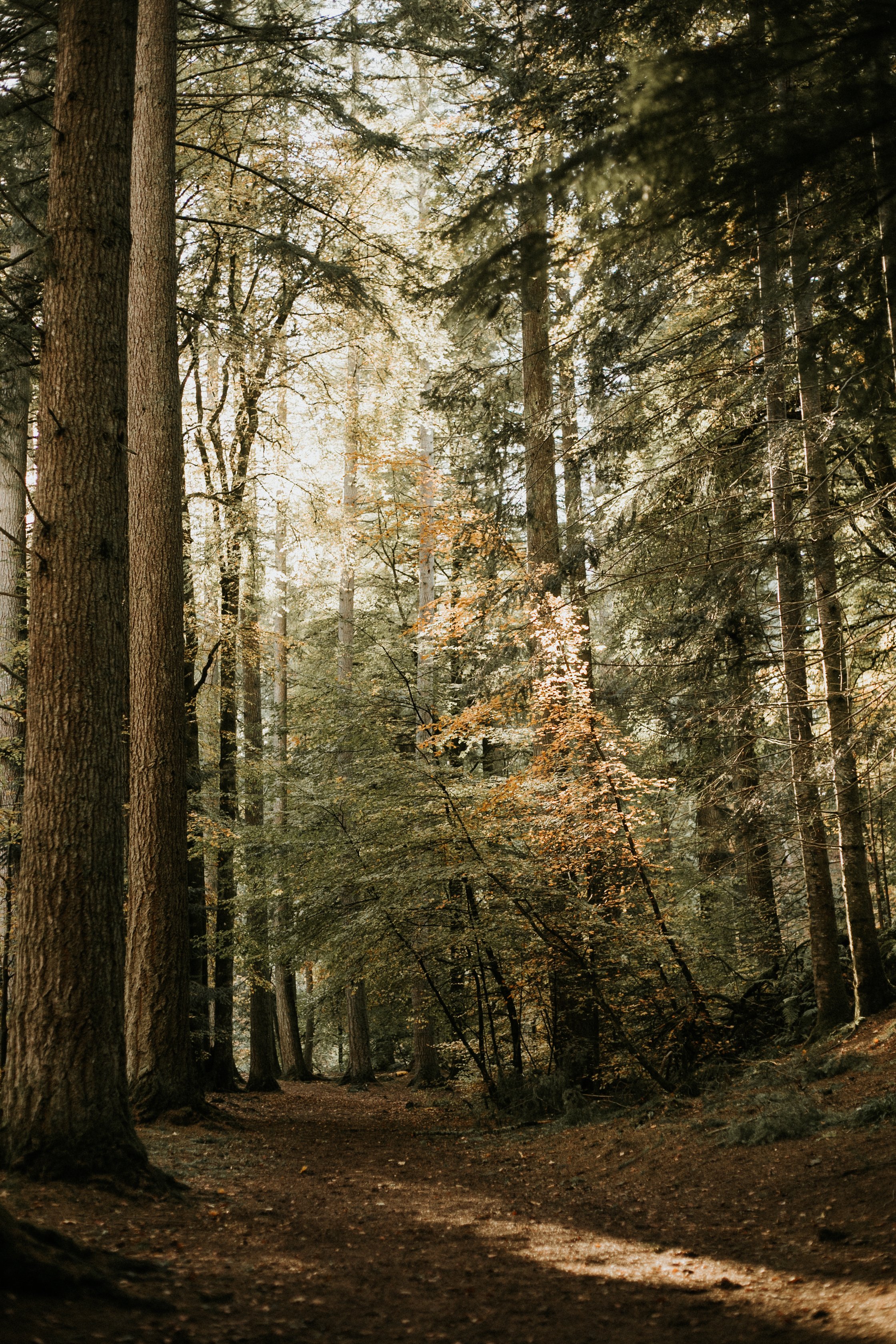 ebrown_20181017_2.jpg