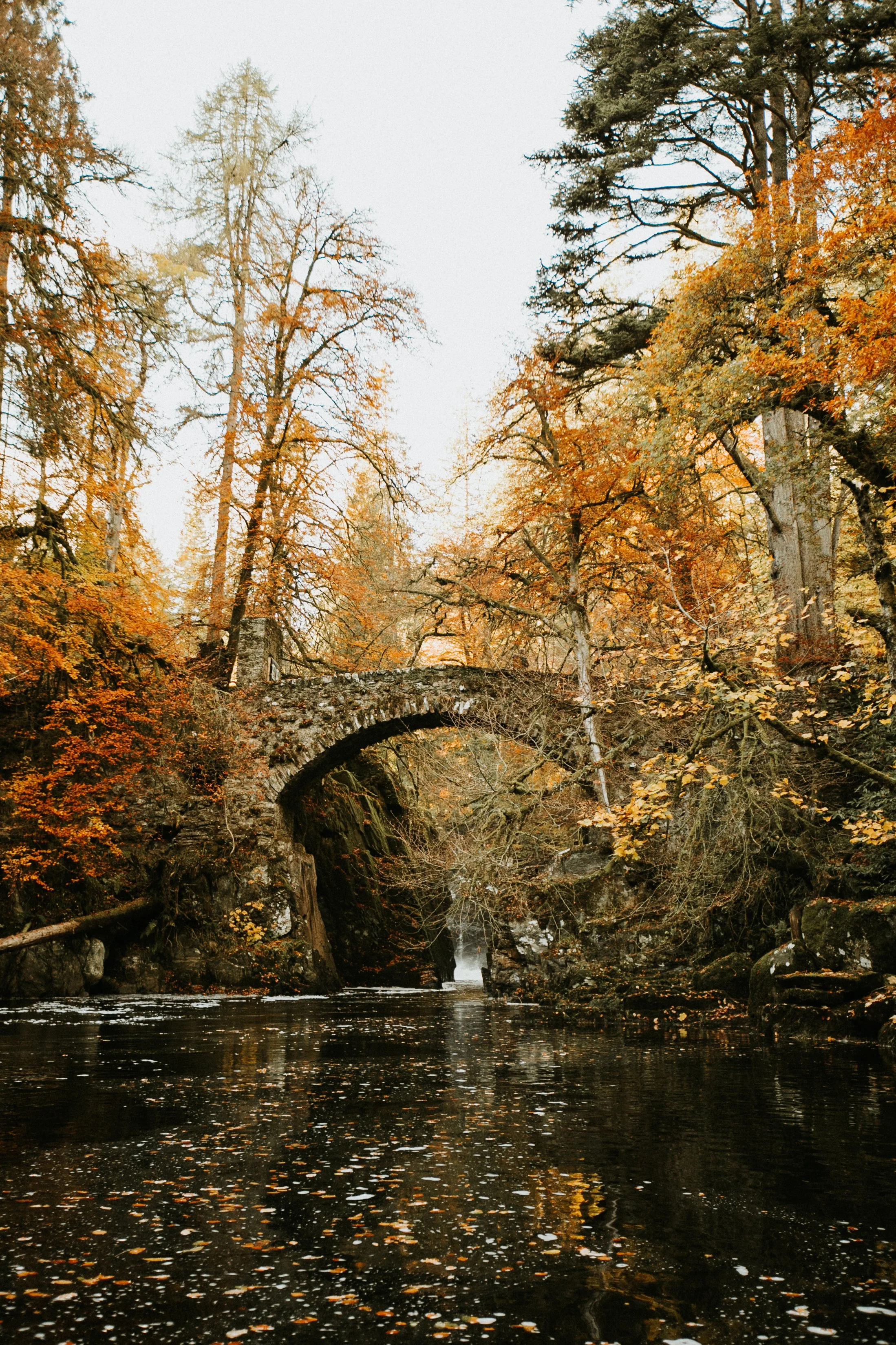 ebrown_20181017_3.jpg