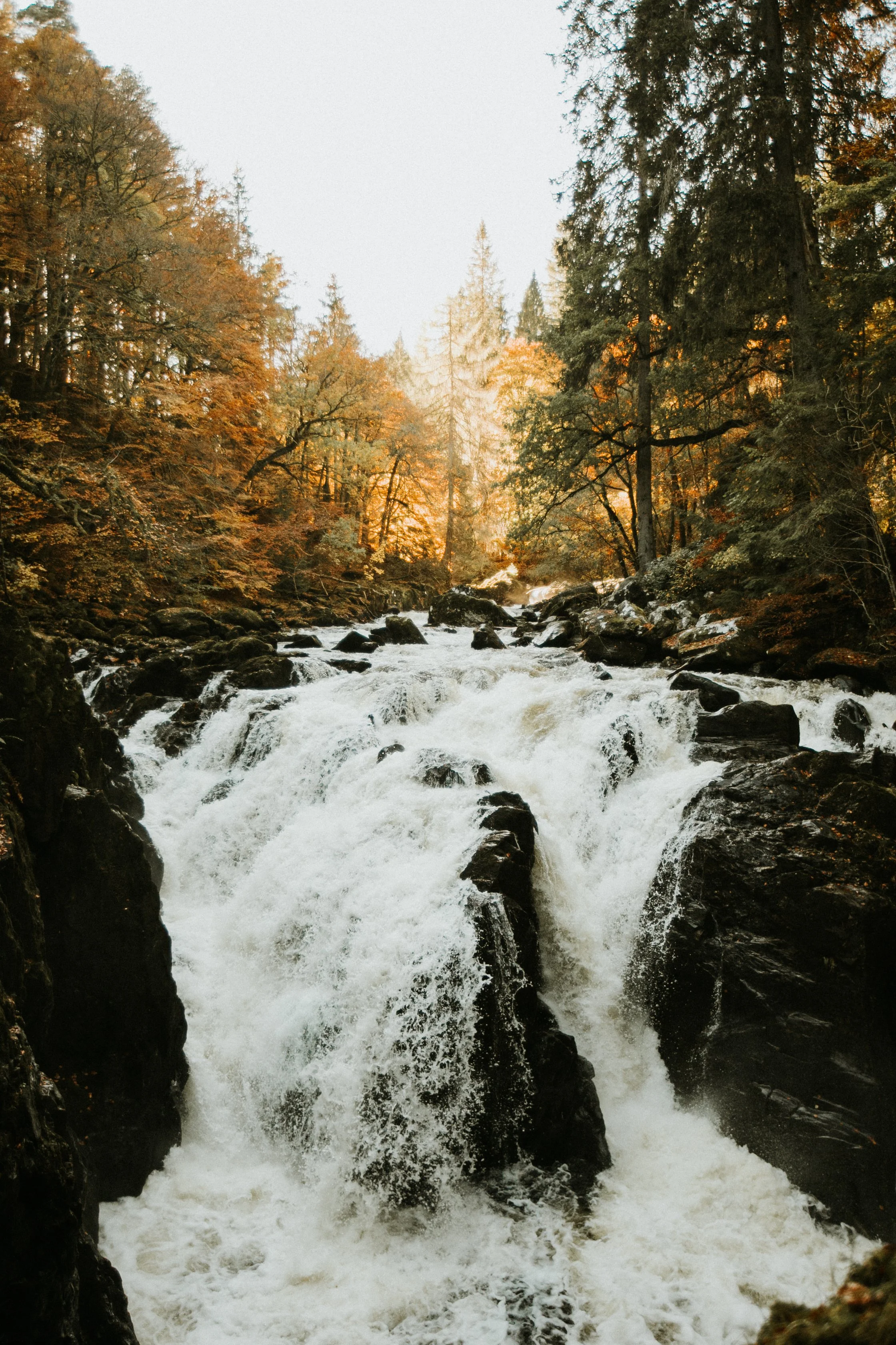 ebrown_20181017_5.jpg
