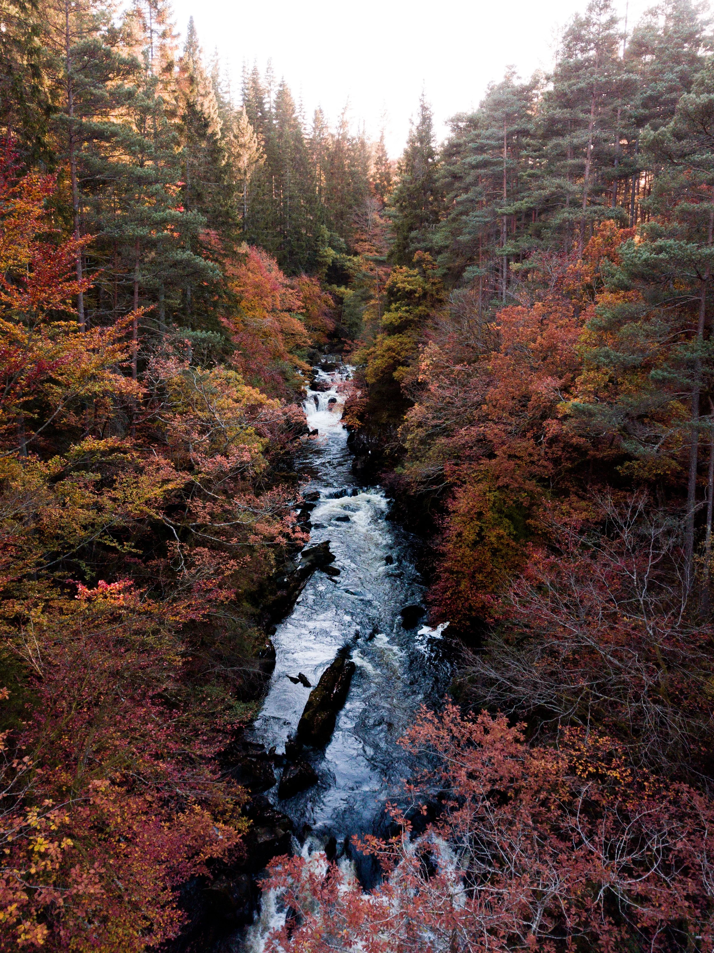 ebrown_20181017_14.jpg
