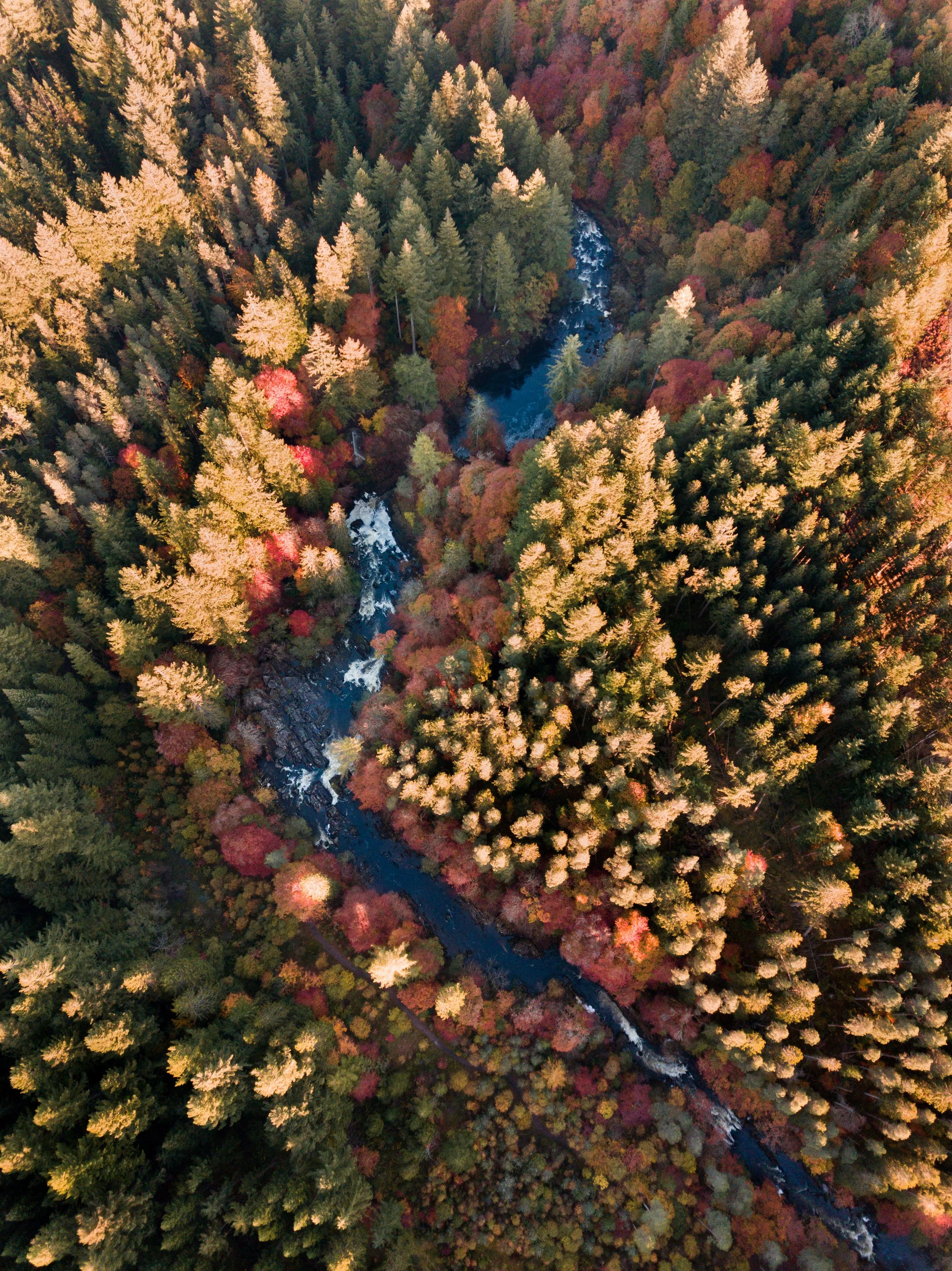 ebrown_20181017_18.jpg