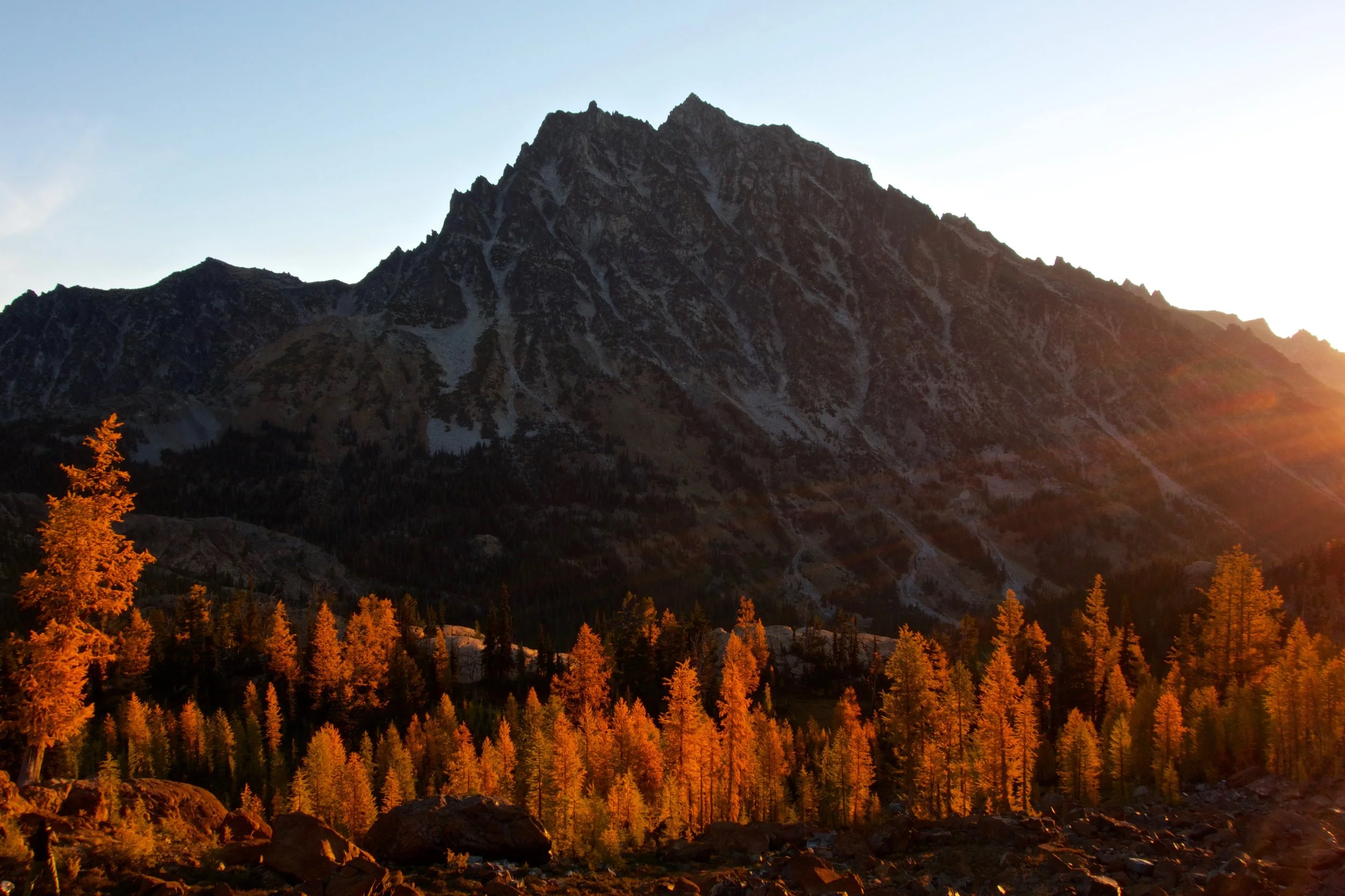 Sunrise on larches and Mount Stuart