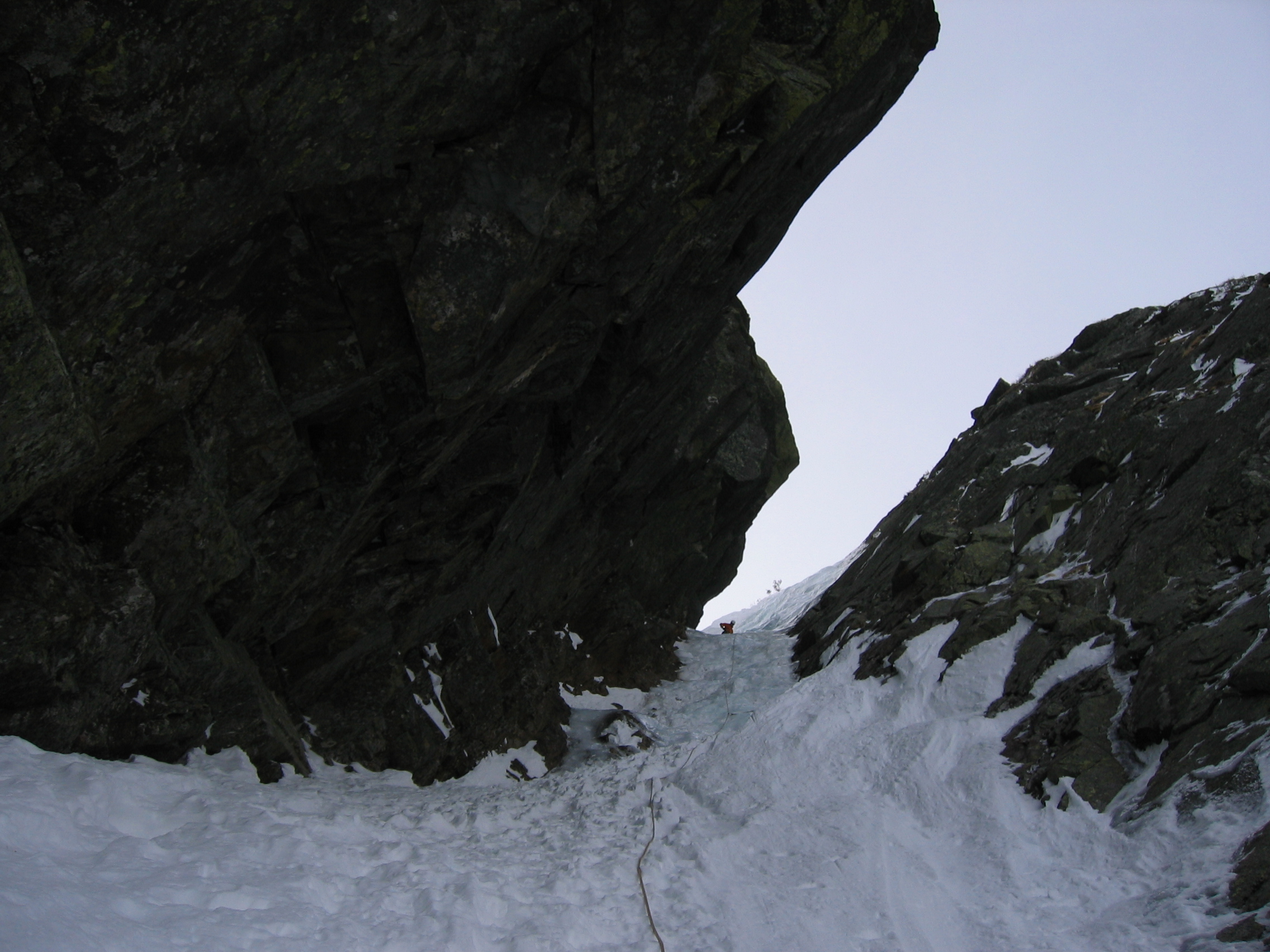 The gully