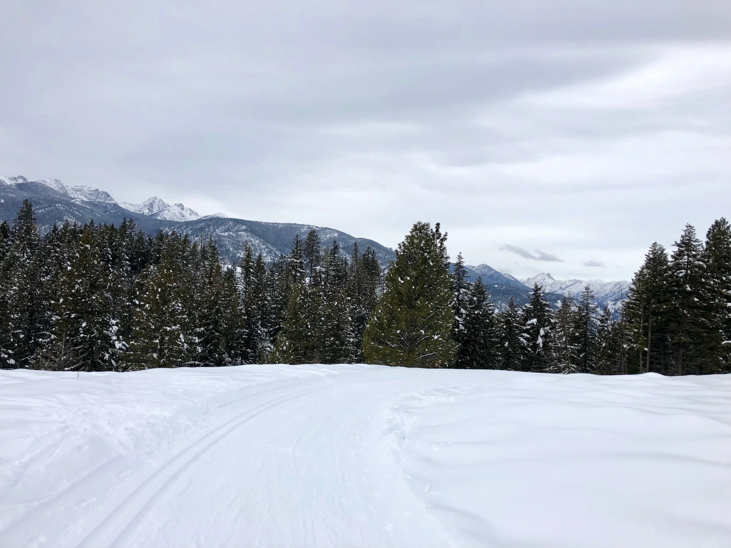 Descending Fawn Creek