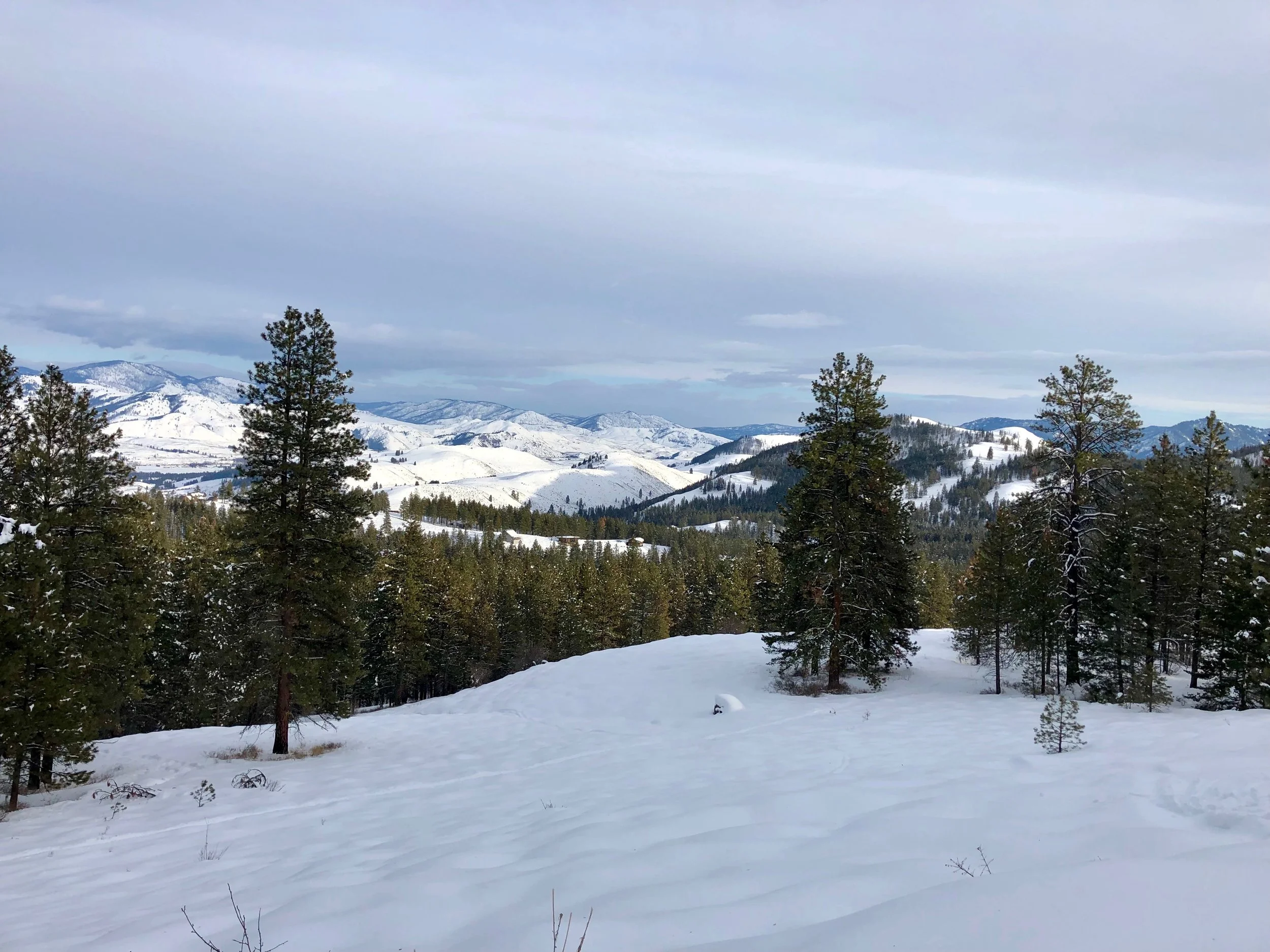 Views from the Meadowlark climb