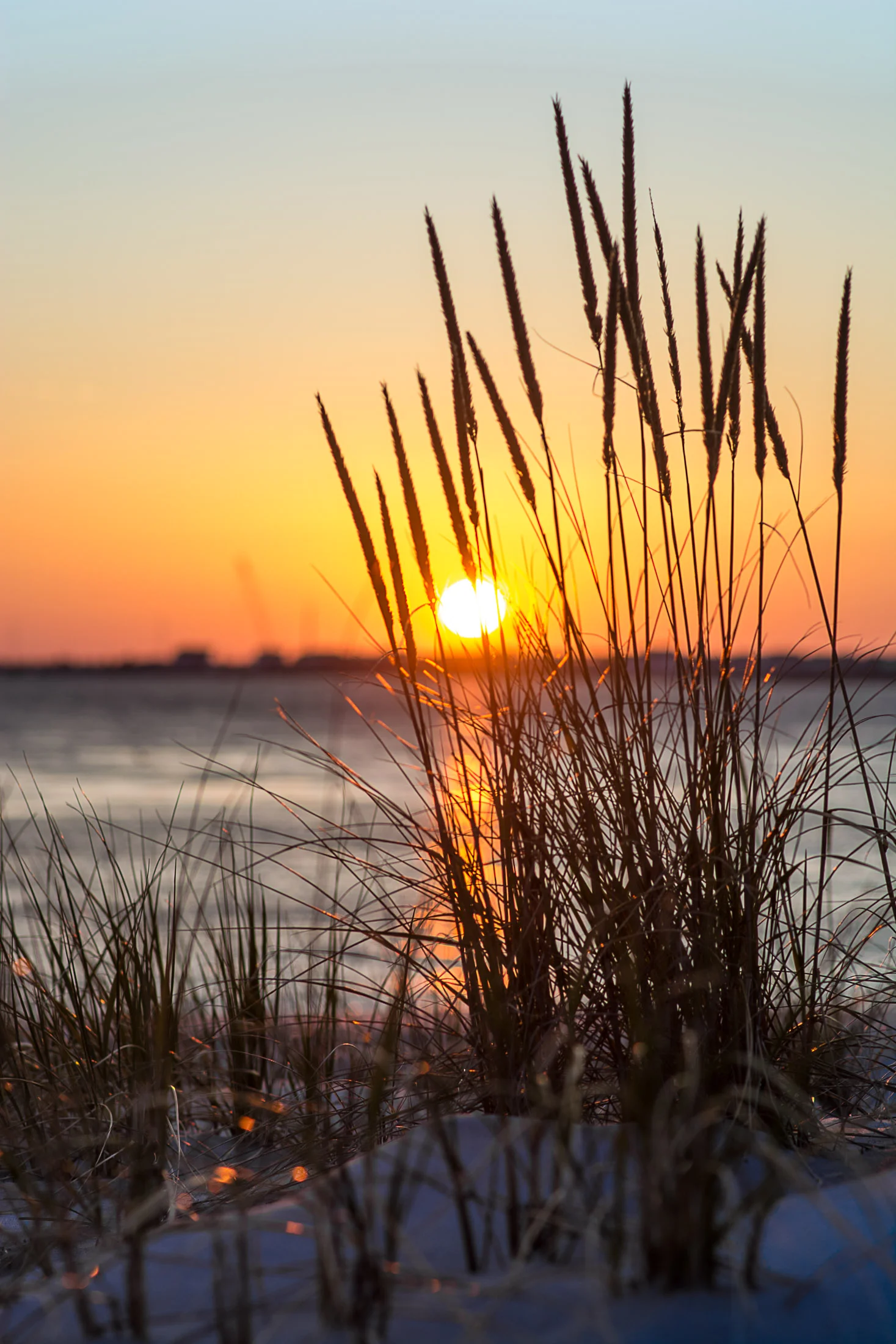 sunset in sic (1 of 1).jpg