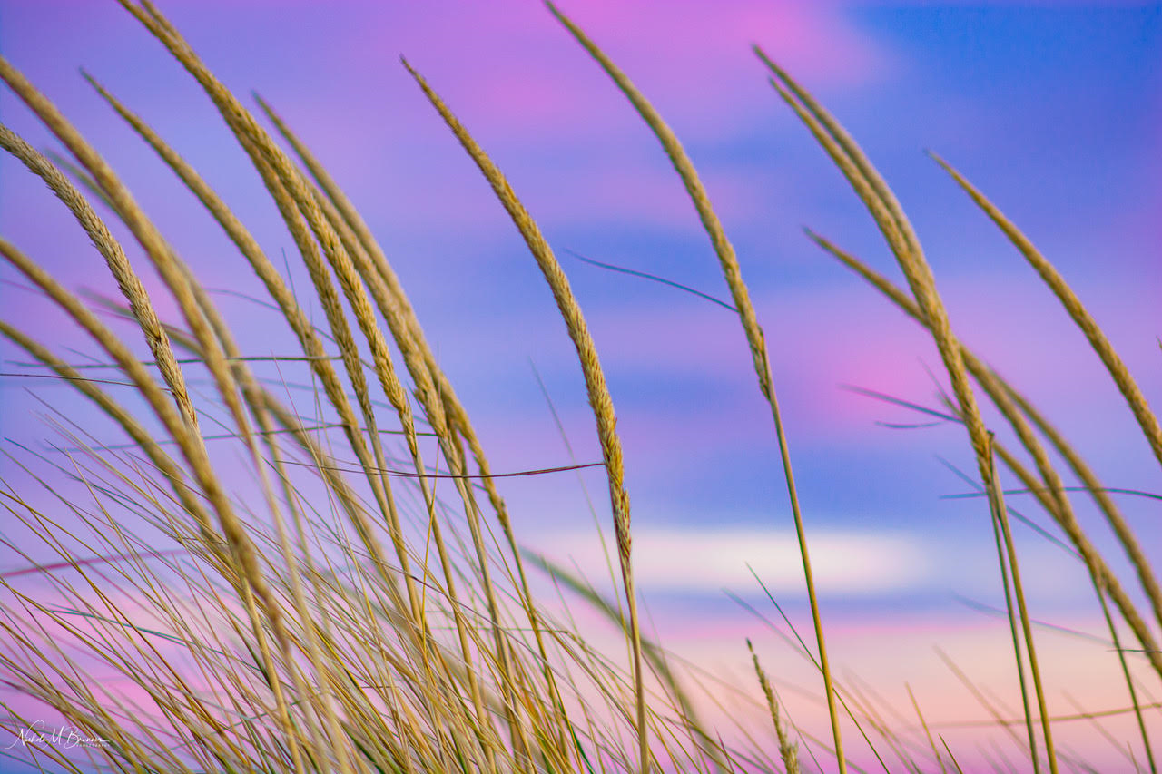 sunset sice close up.png