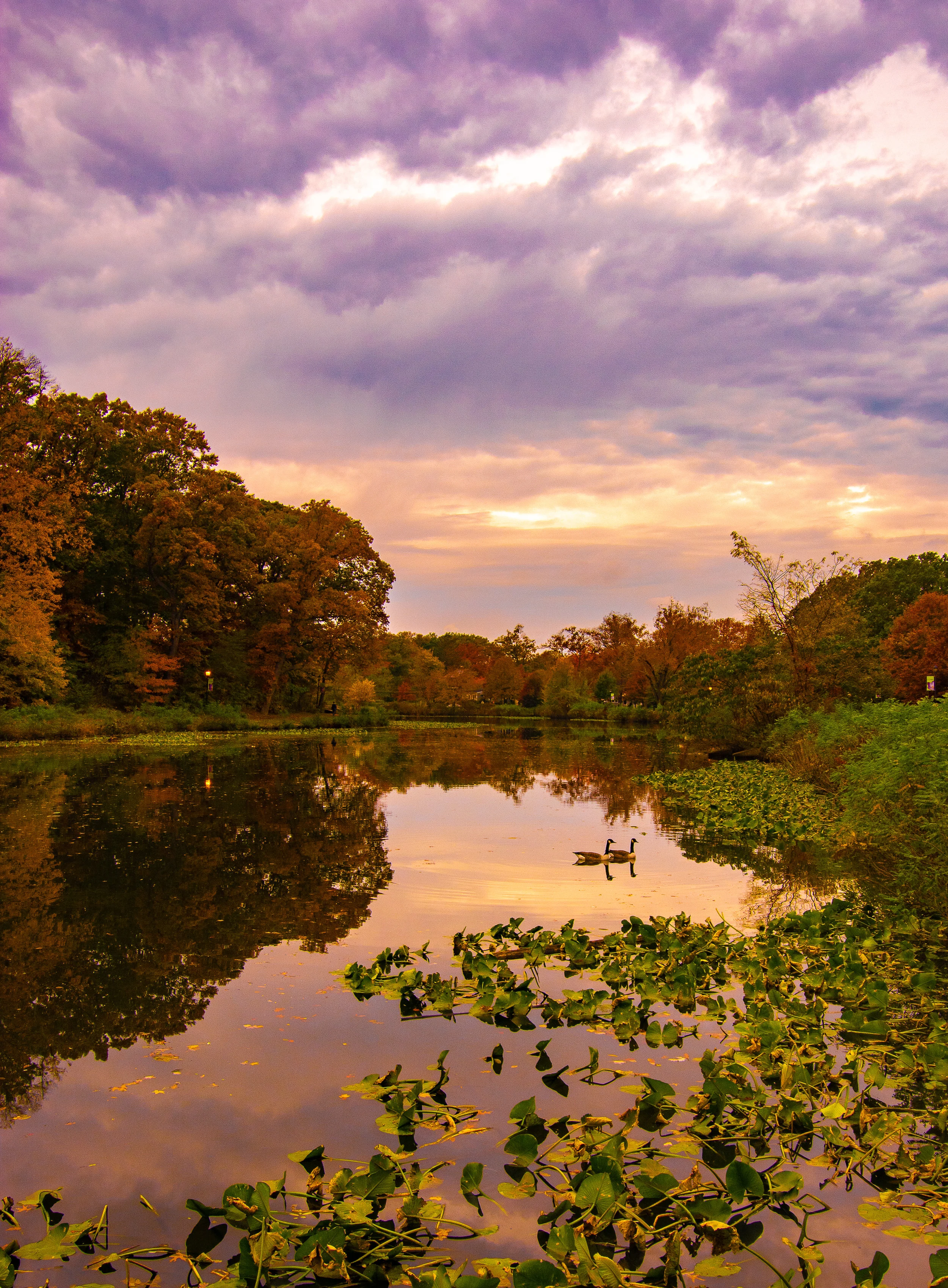 fall 2018 11.2.18 (1 of 1)-2.jpg