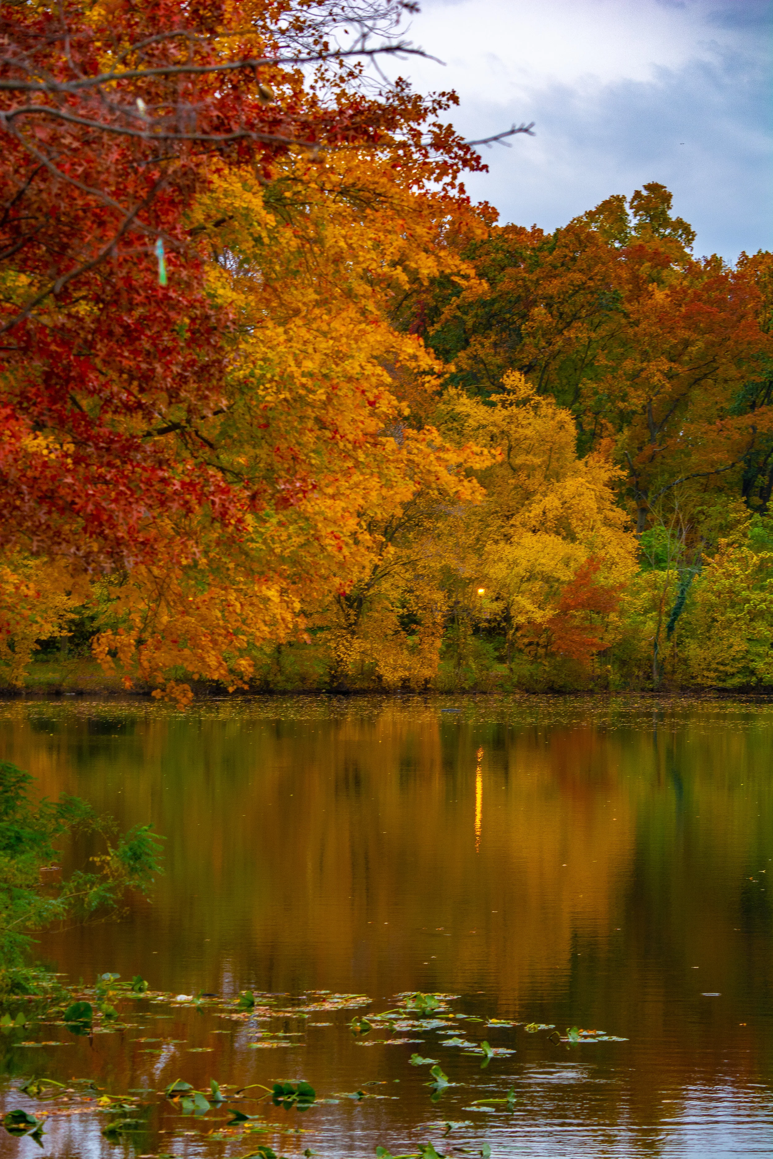 fall 2018 11.2.18 (19 of 26).jpg