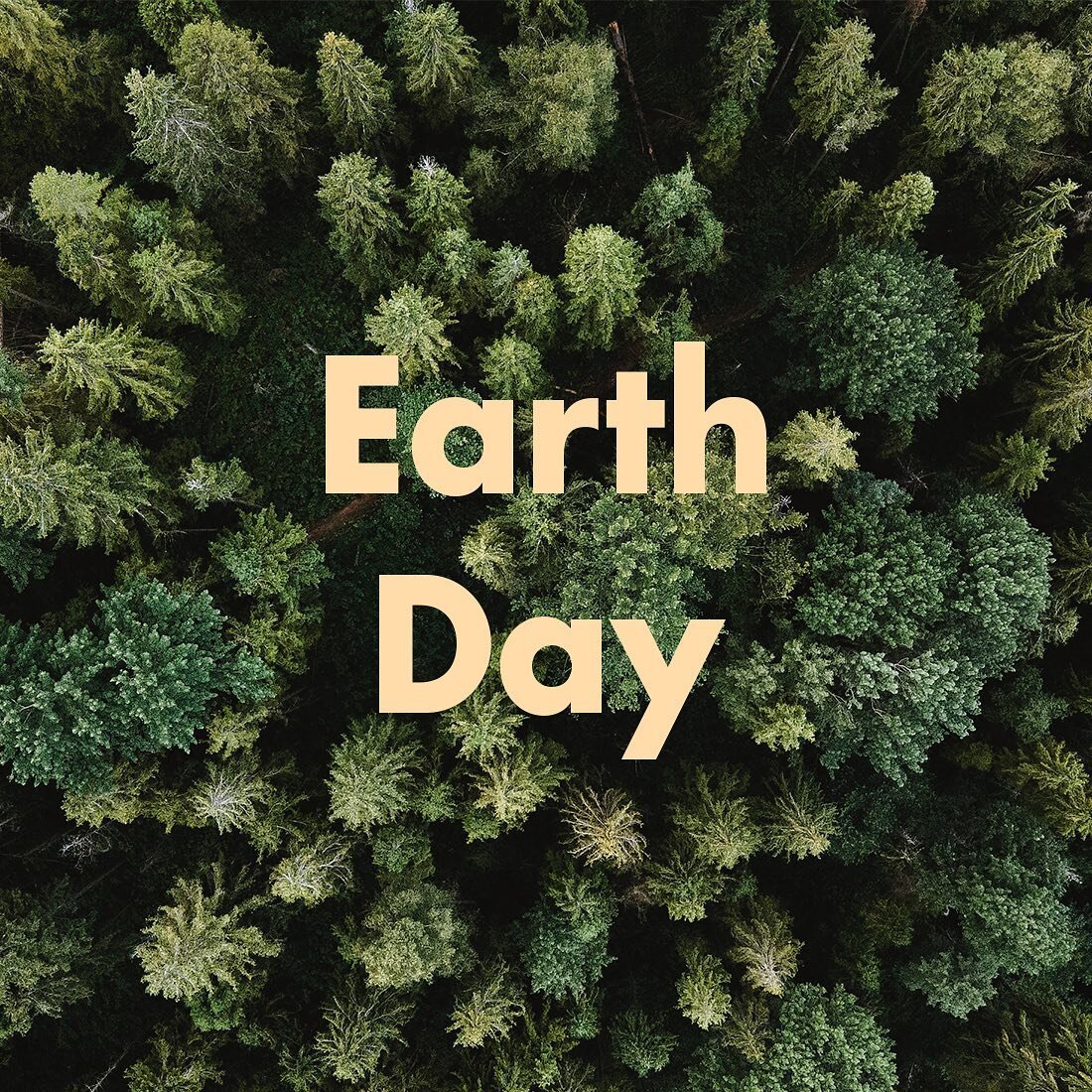 As every year we celebrate Earth Day on April 22, a perfect moment to remember how important it is to take care of our planet since it is the only one we have. Do you know why this special day is celebrated on this date?
It all started in the 1960s w
