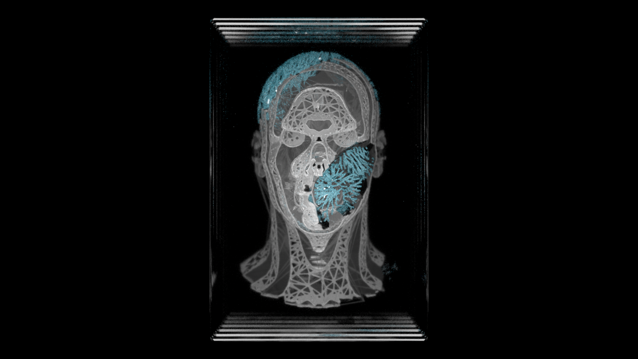 Houdini_Sliced_Head_v001_front0000.png