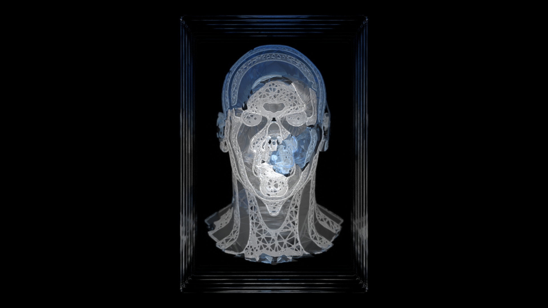 Houdini_Sliced_Head_v002_front0000.png