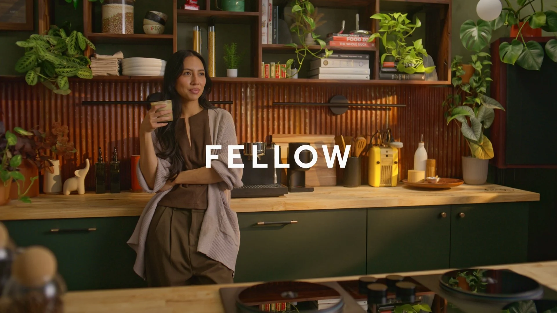 Fellow series 1_3.1.1.jpg