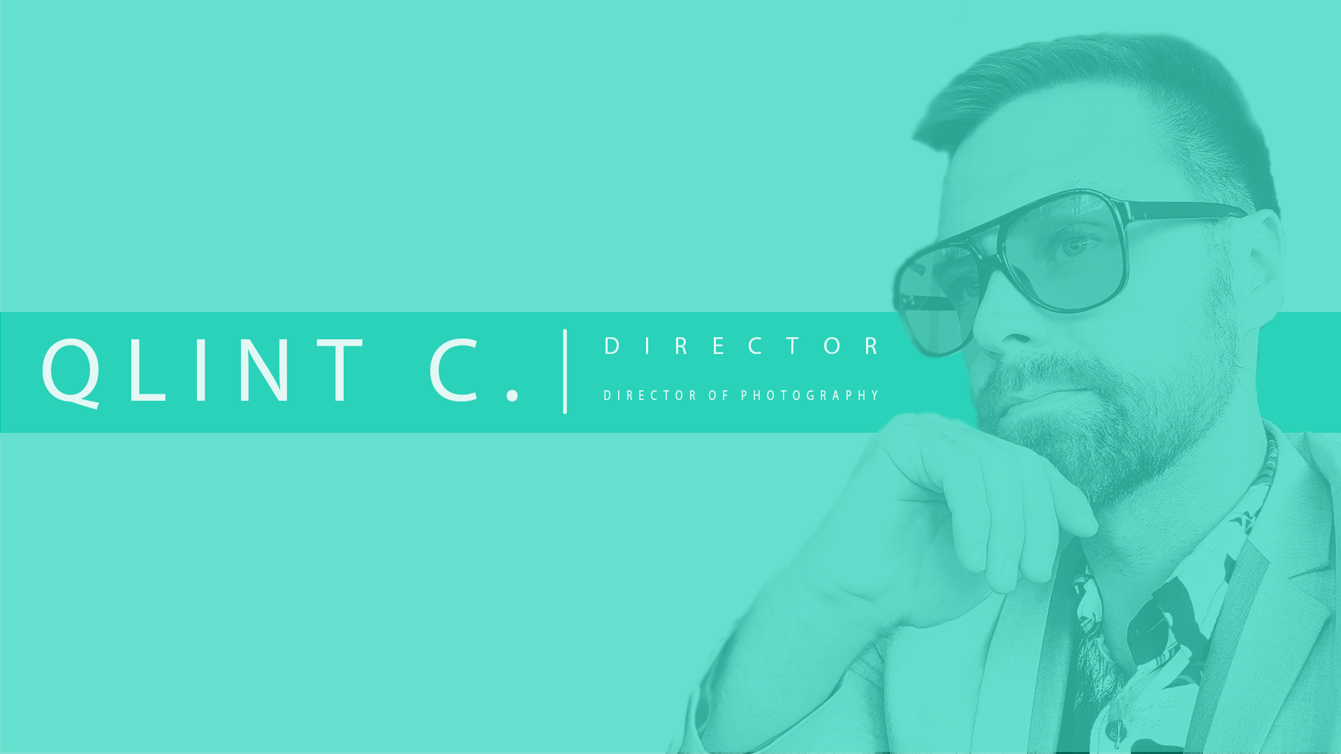 qlint logo 1.png