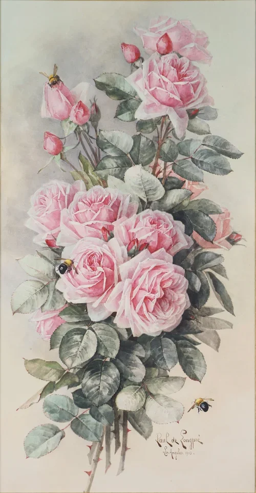 "Pink Roses"
