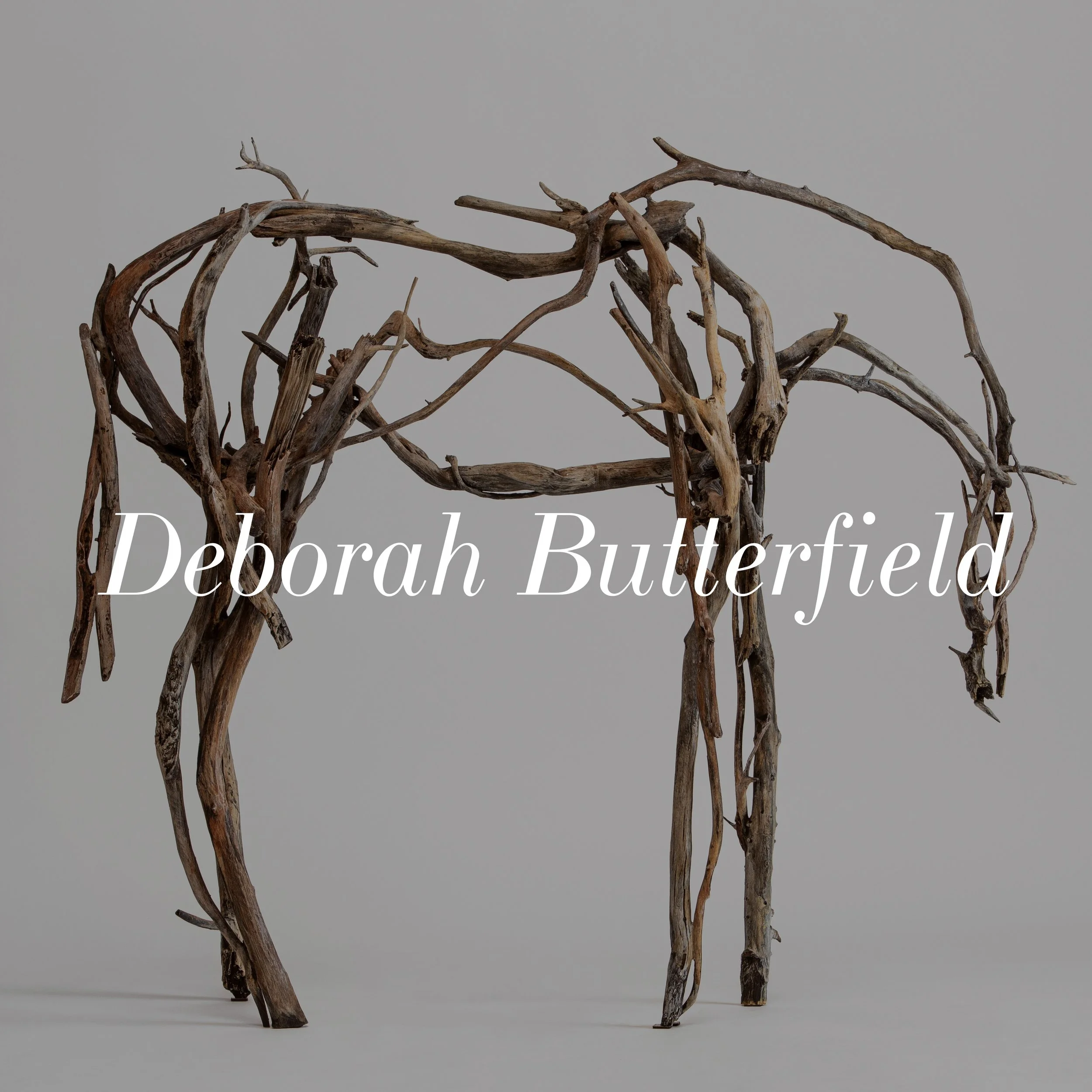Deborah Butterfield.jpg
