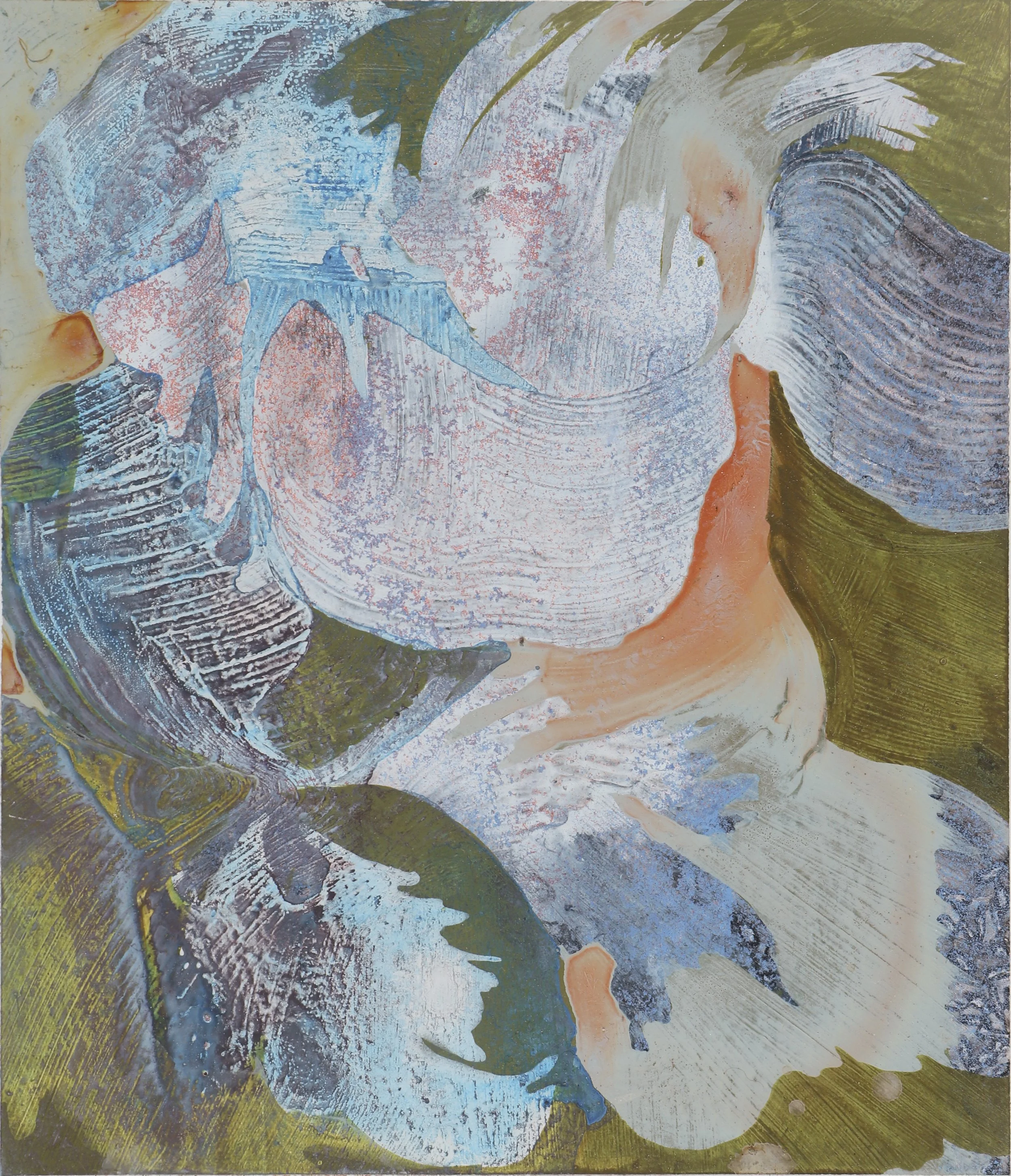"Abalone Shell 1"