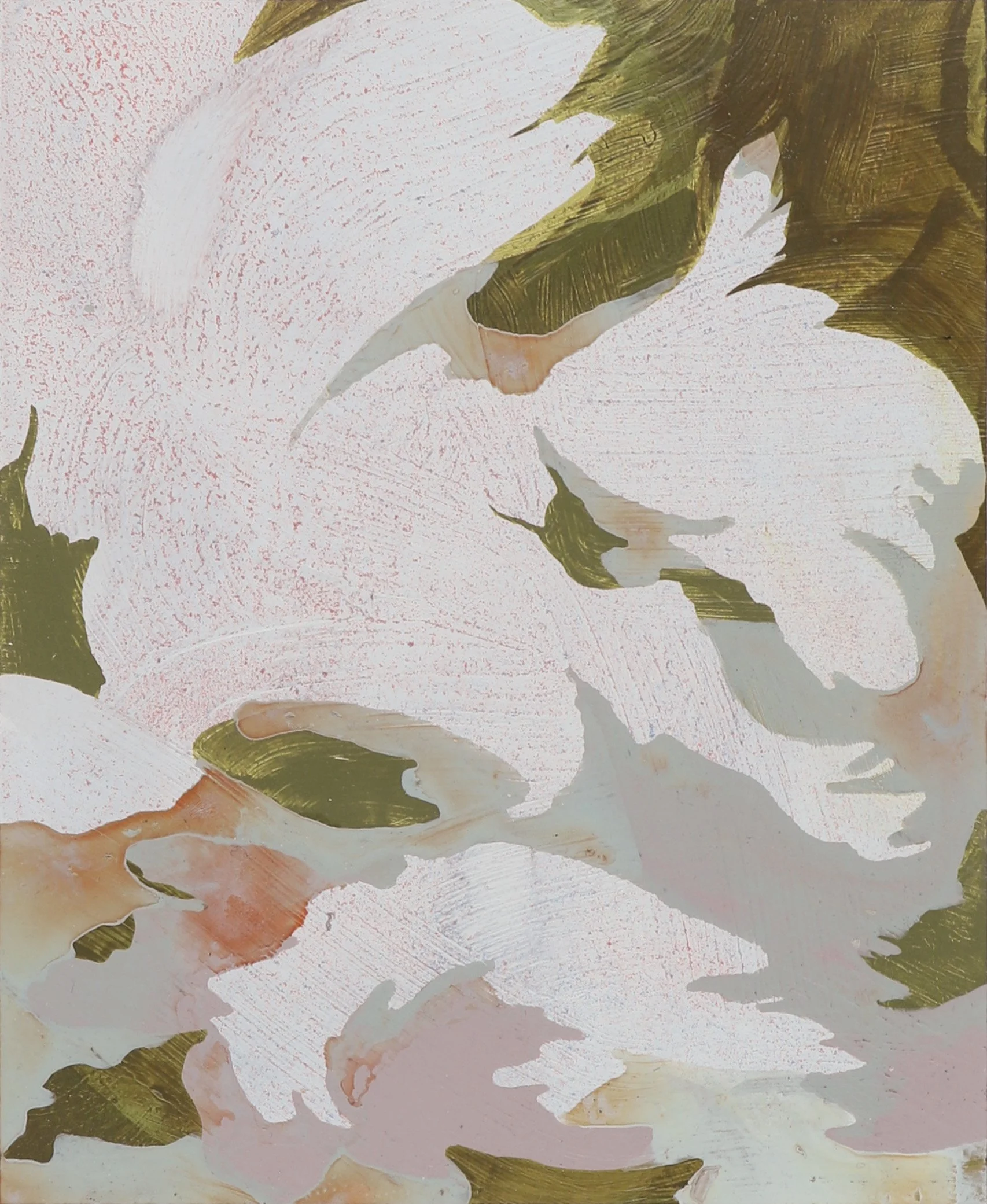 "Abalone Shell 6"