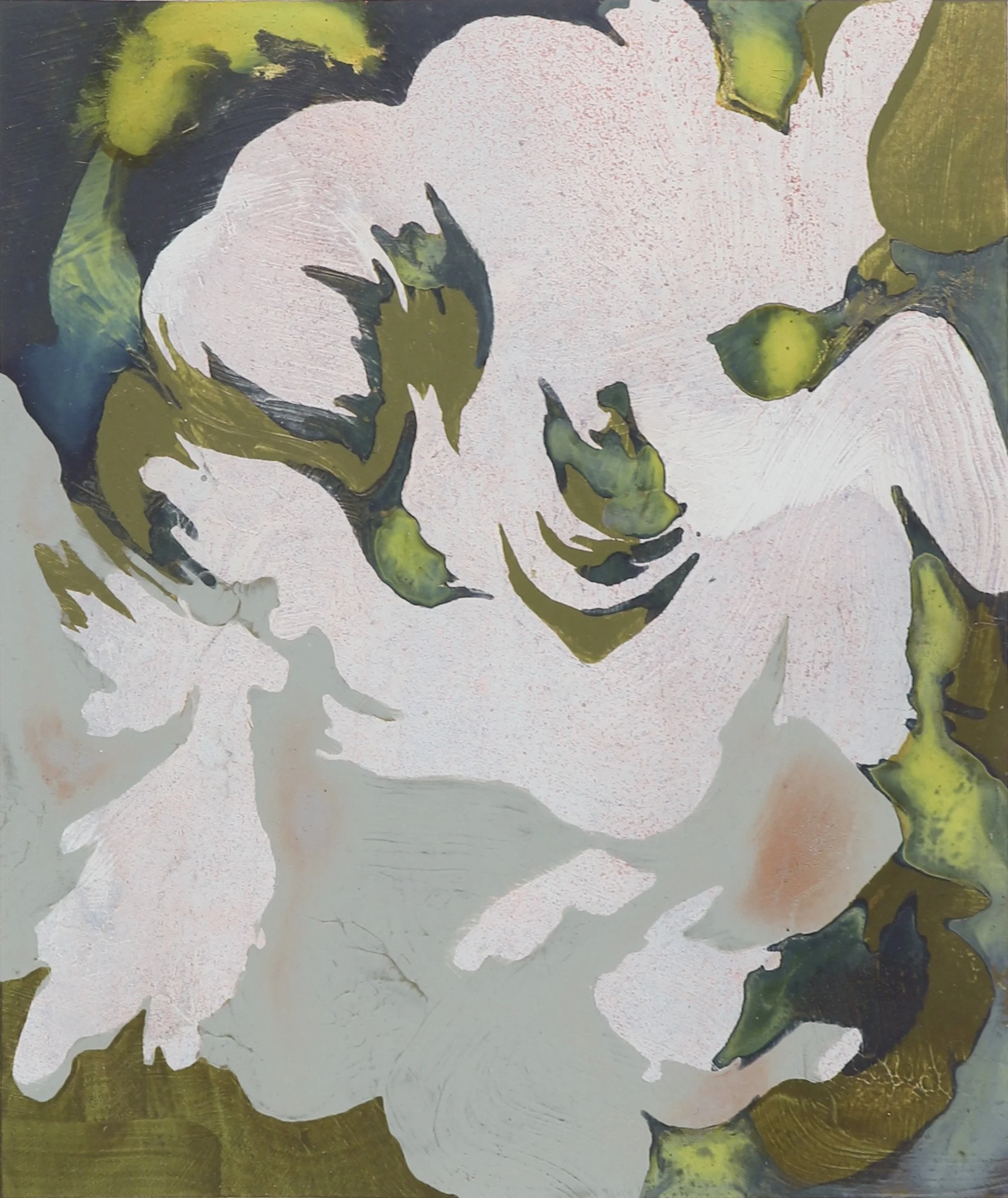 "Abalone Shell 3"