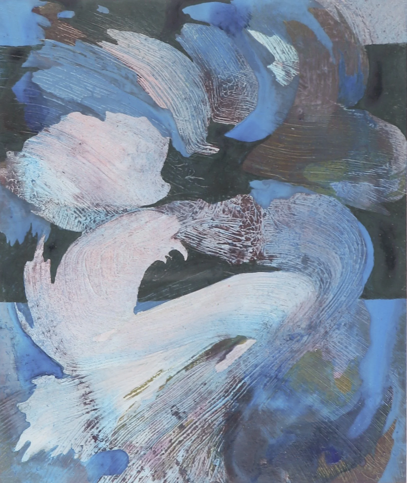 "Abalone Shell 8"