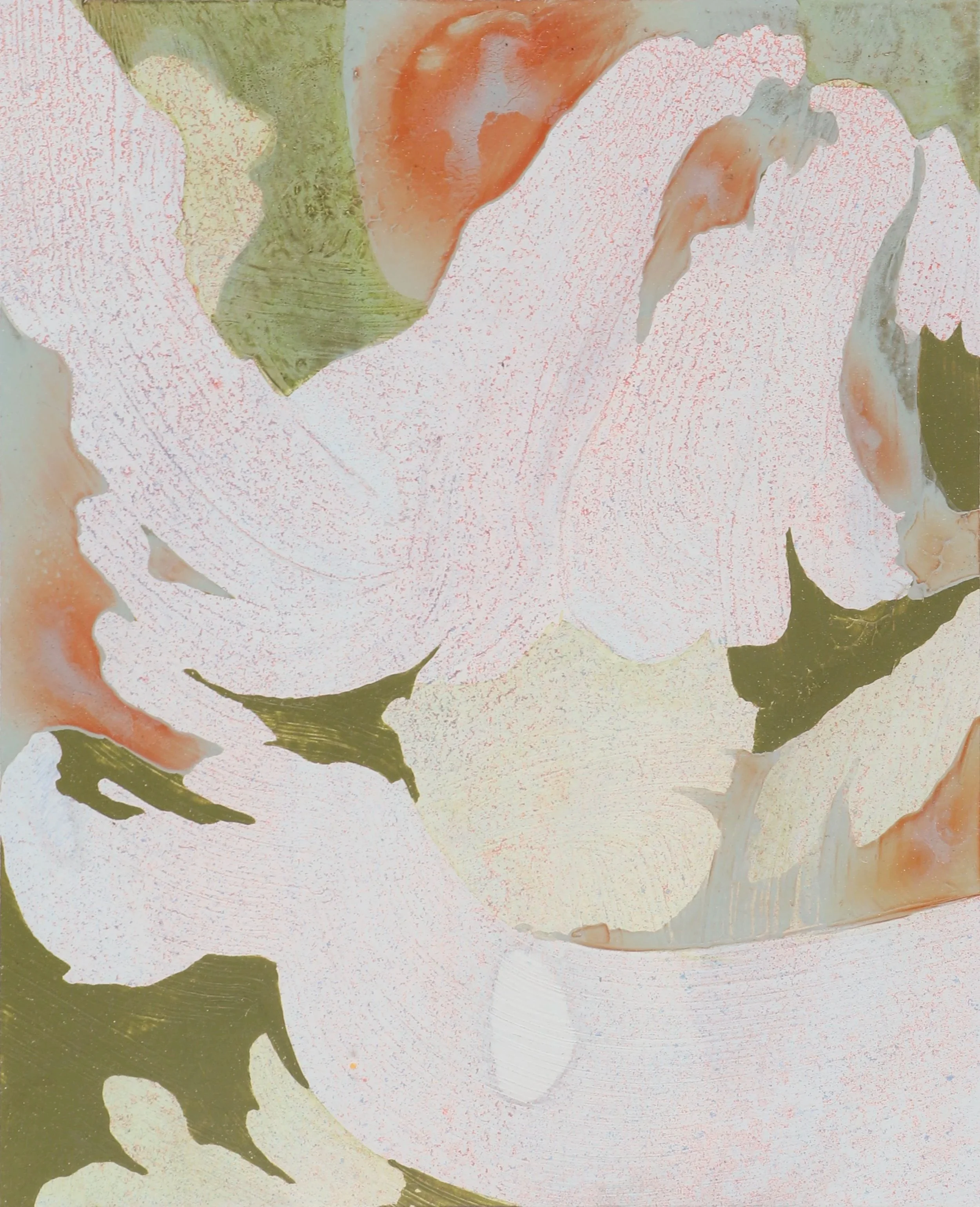 "Abalone Shell 5"