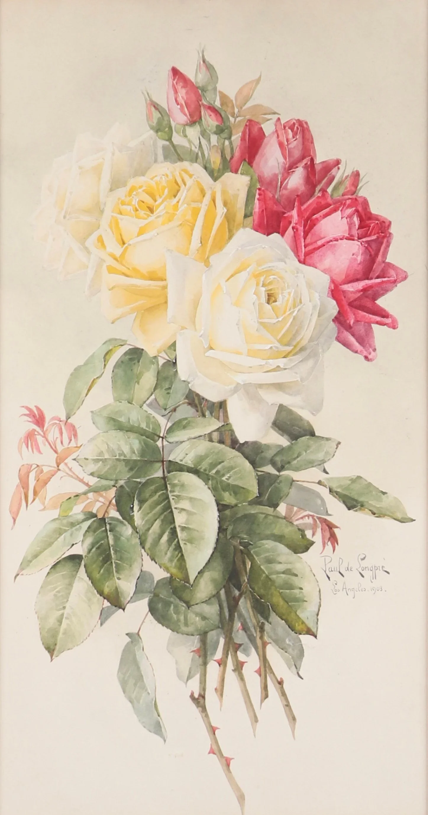 "Red, White, and Yellow Roses"