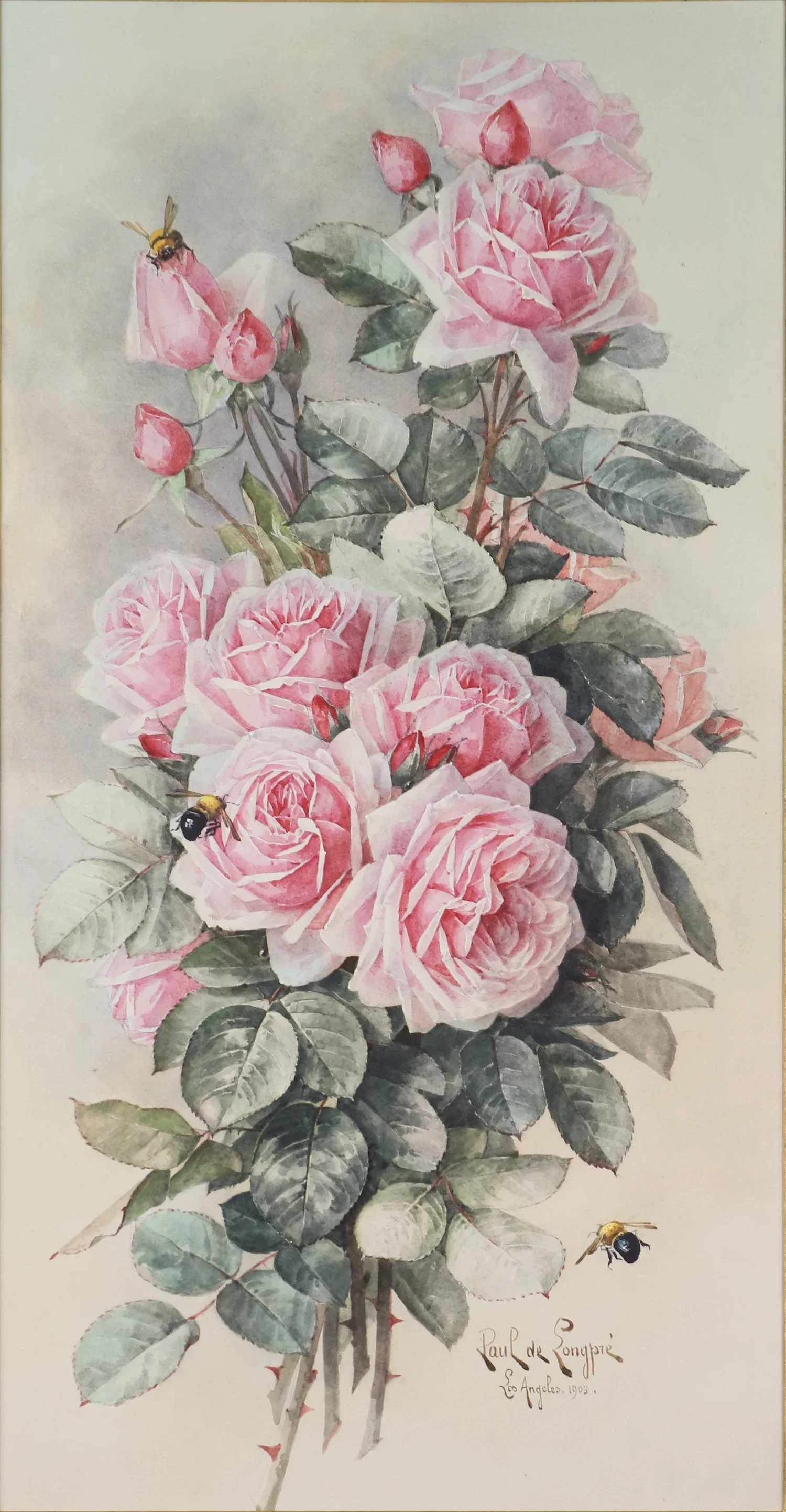 "Pink Roses"