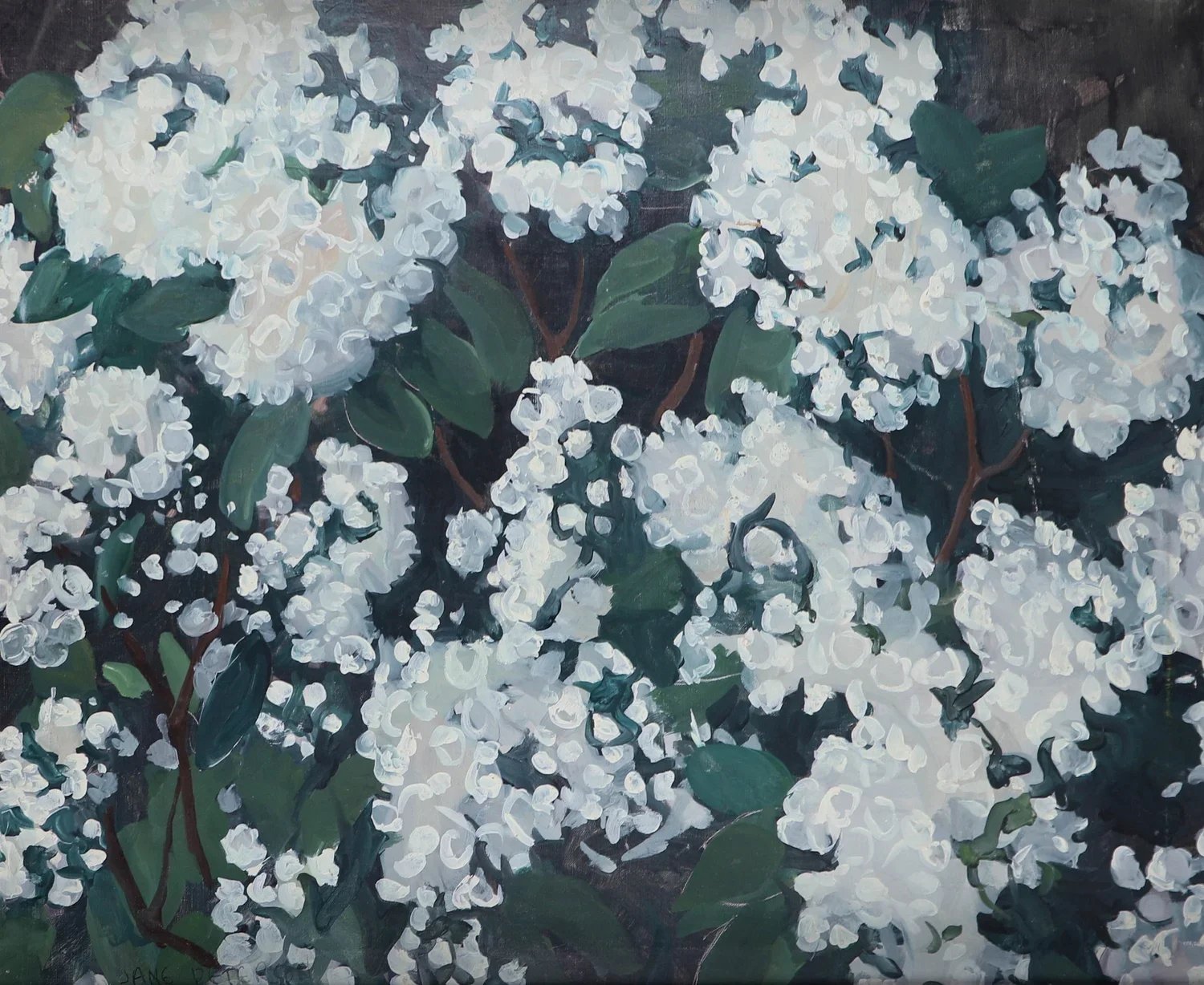 "Mountain Laurel"