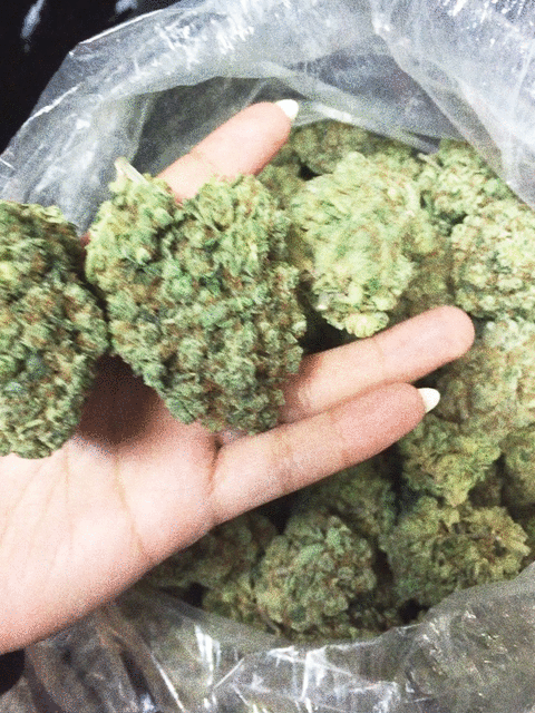 MARIJUANA-NUGS.gif