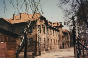 This is the entrance to Auschwitz. I don't have to look up the translation of the sign. It's "work shall set you free." The Germany Nazis, even when executing genocide, planned ahead on the best way to keep people calm when they entered the camp.