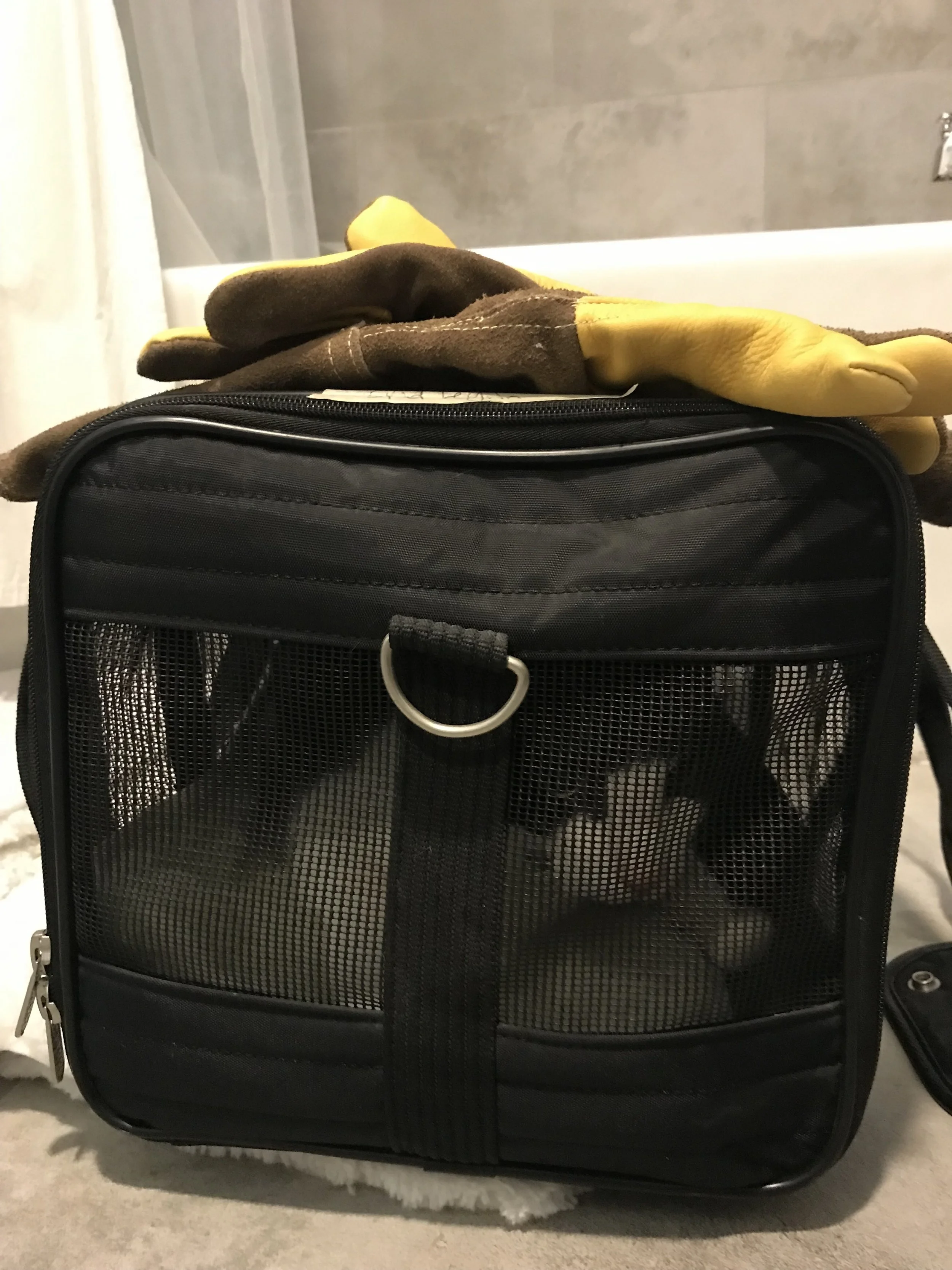 Poor guy isn’t feeling well.