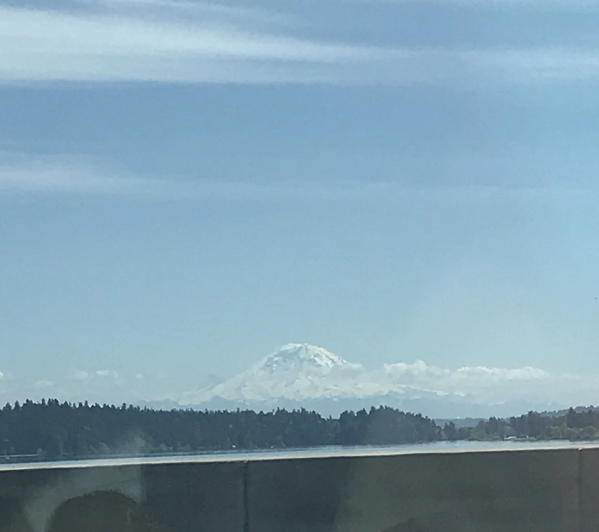 I snapped this shot while my friend drove me home from a doctor appointment. I love Mt. Rainier but have never hiked on it! I kinda gave it up in a divorce in my twenties and then moved away (long story). I hope I can get there one day despite my health issues.