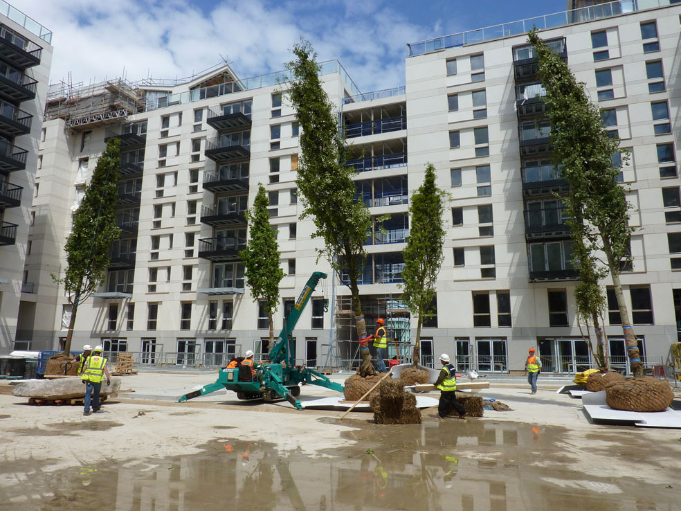 Athletes Village - Installing Trees on Podium Deck