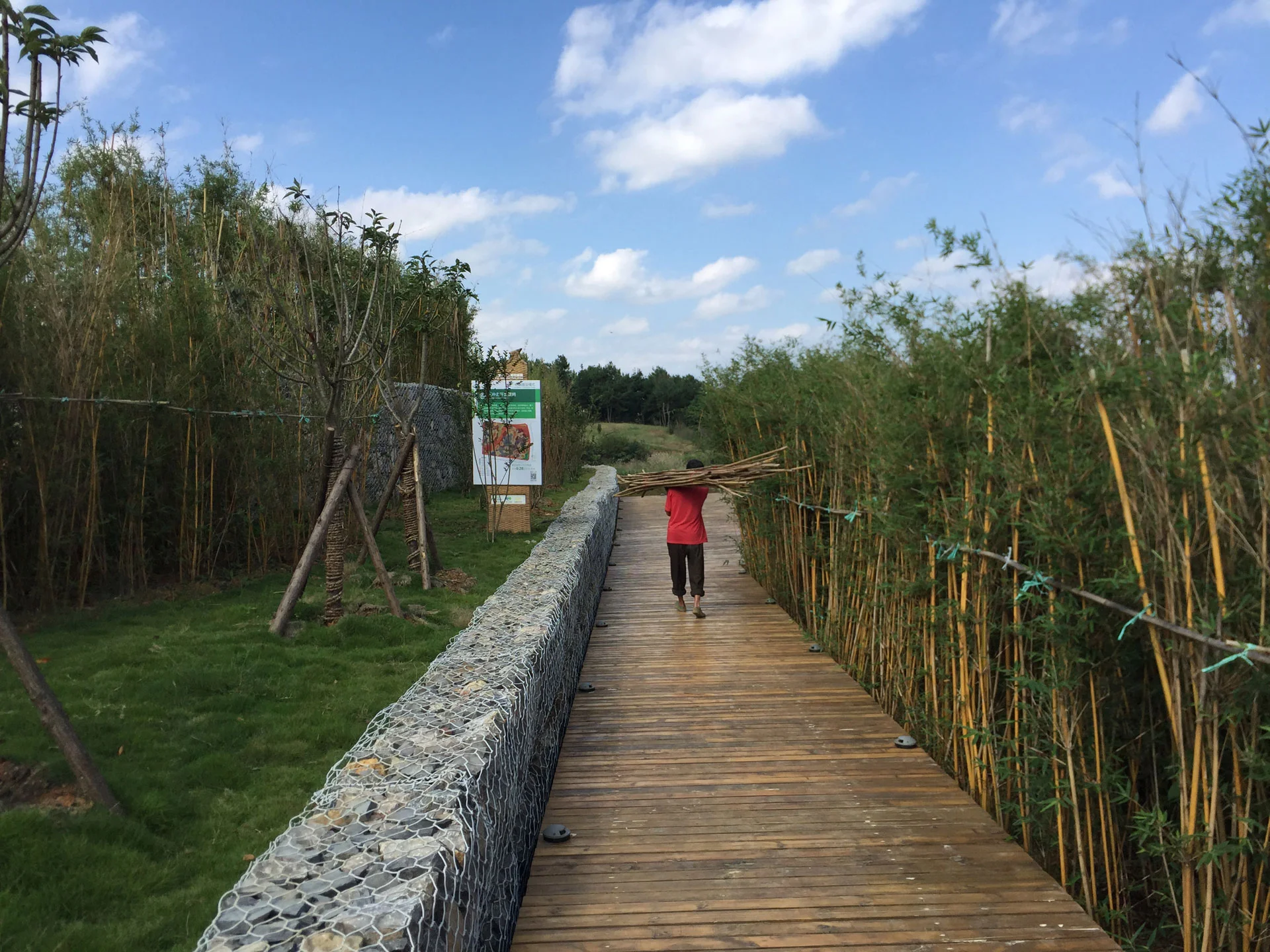 Boardwalk