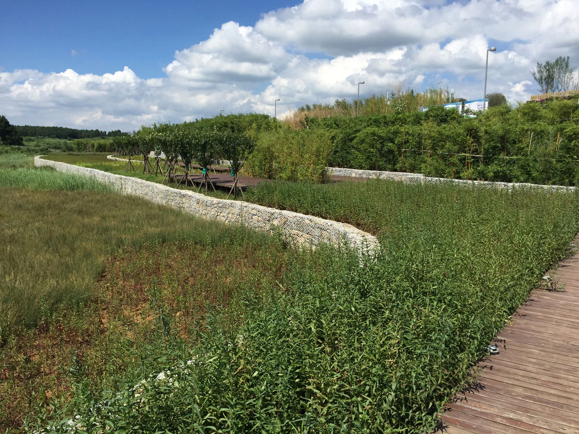 Gui'an Innovation Park Orchards