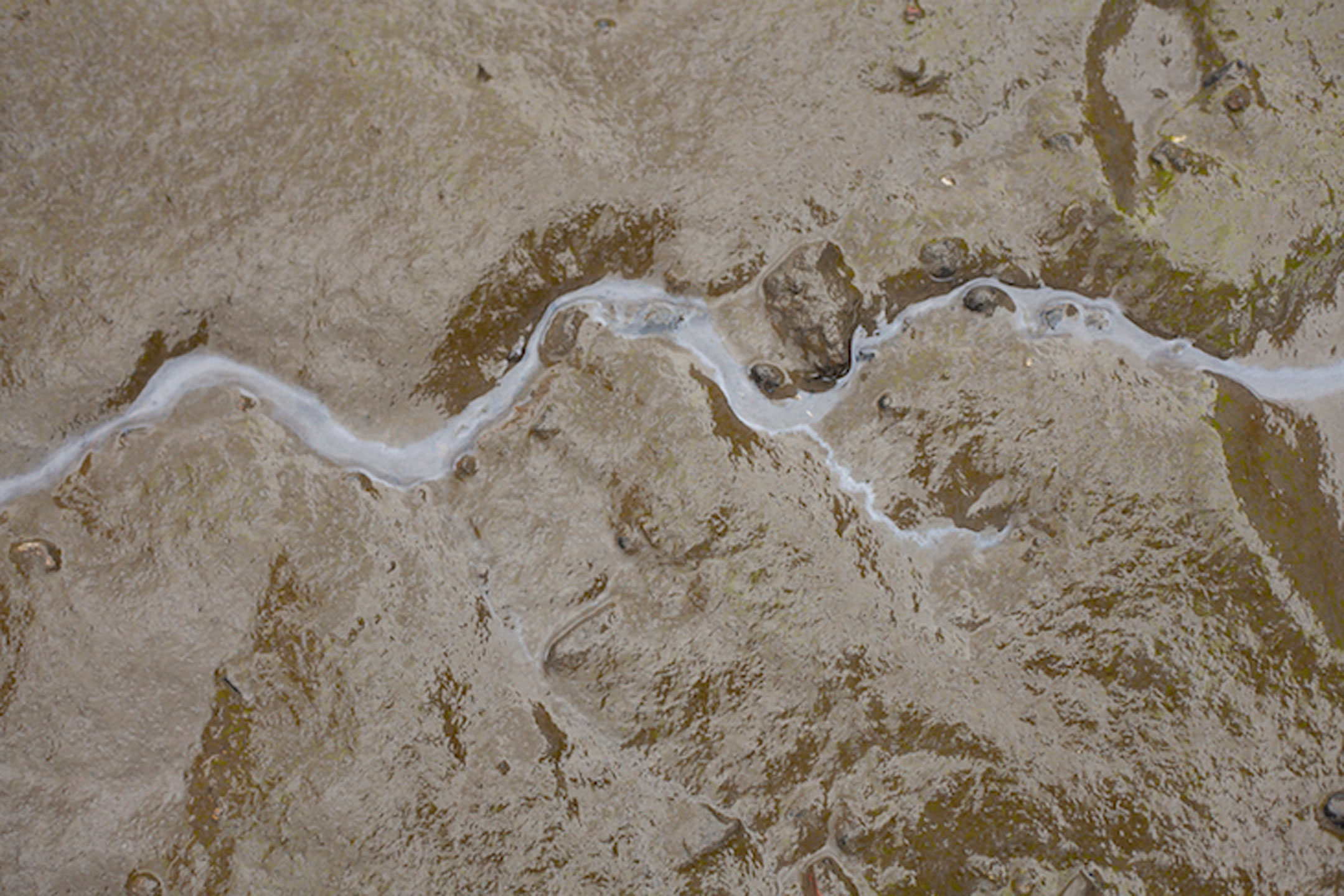 Creekside Deptford - Erosion Pattern