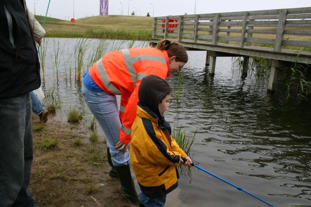 Dalton Park Pond Dipping