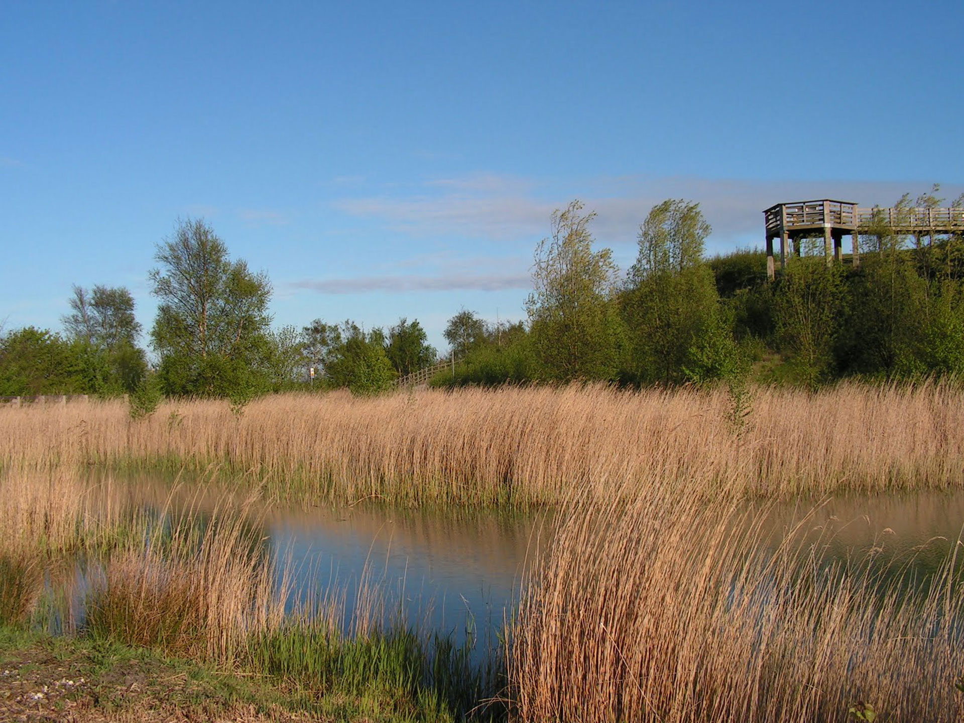Betteshanger Country Park Pond