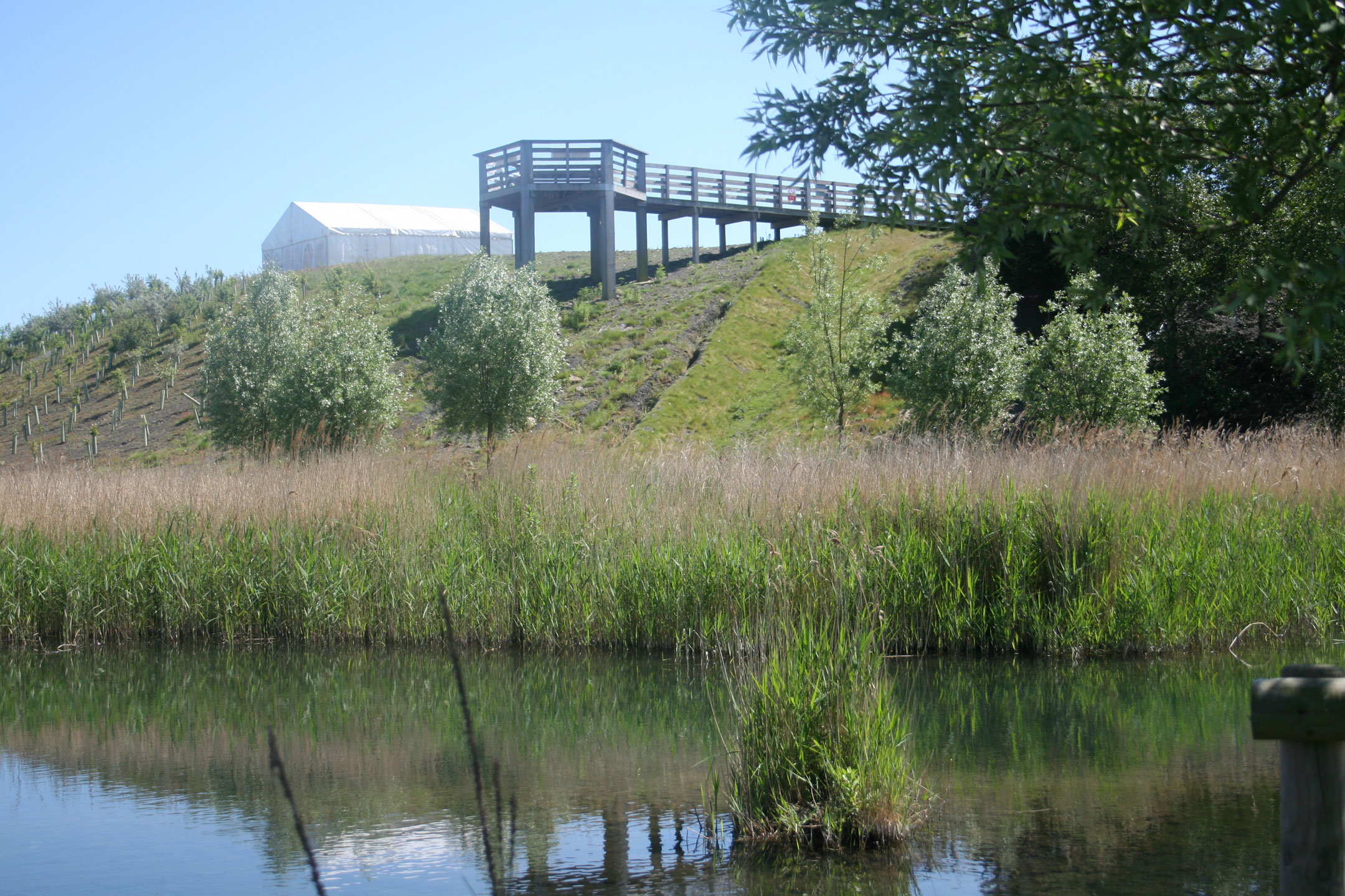 Betteshanger Country Park - Lookout Point