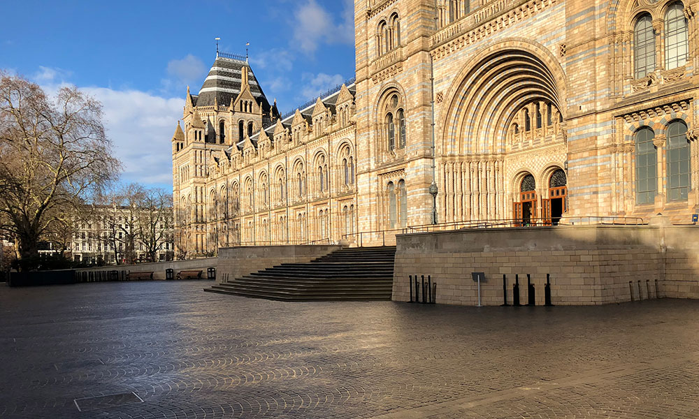 The Natural History Museum.