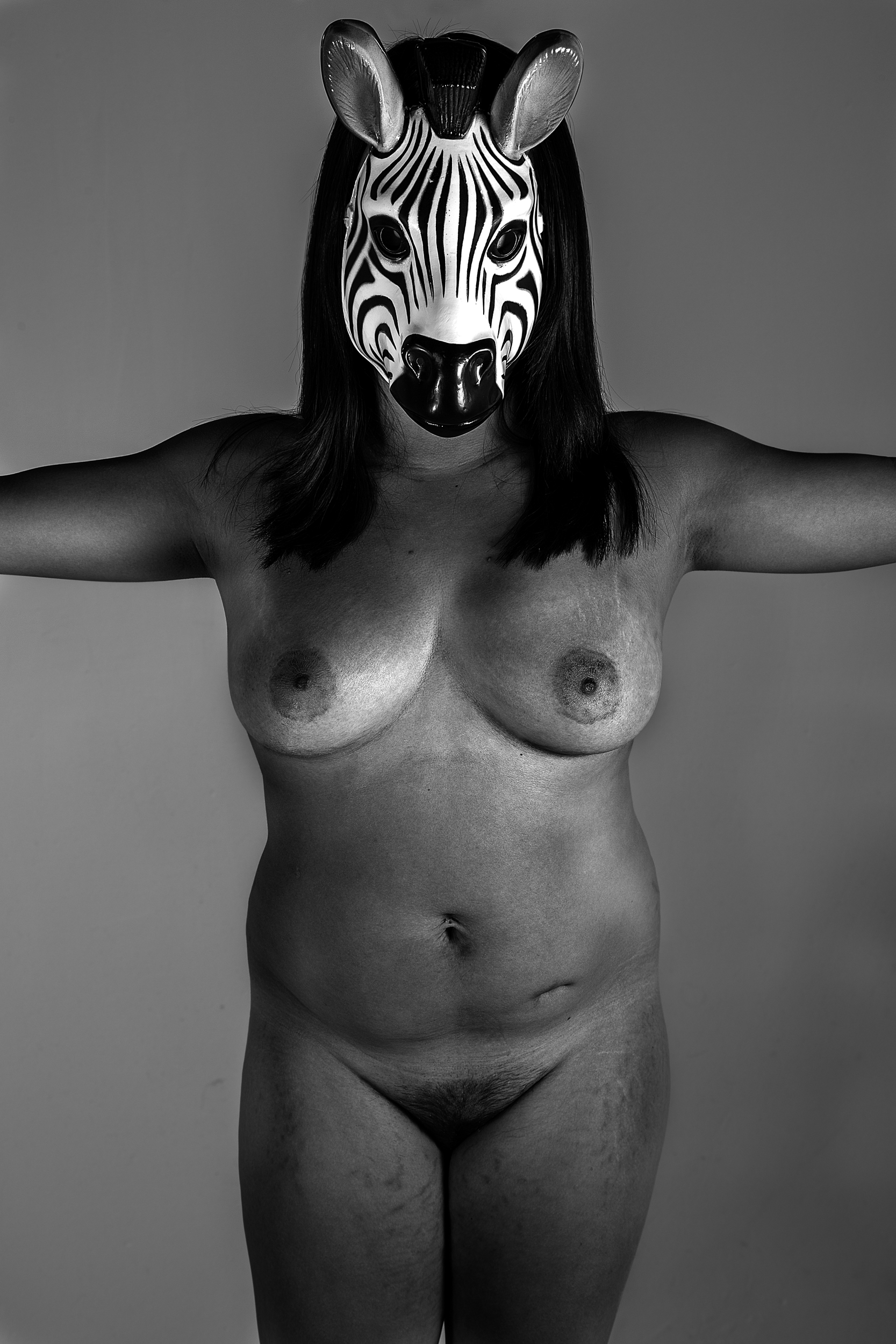 zebra1.jpg