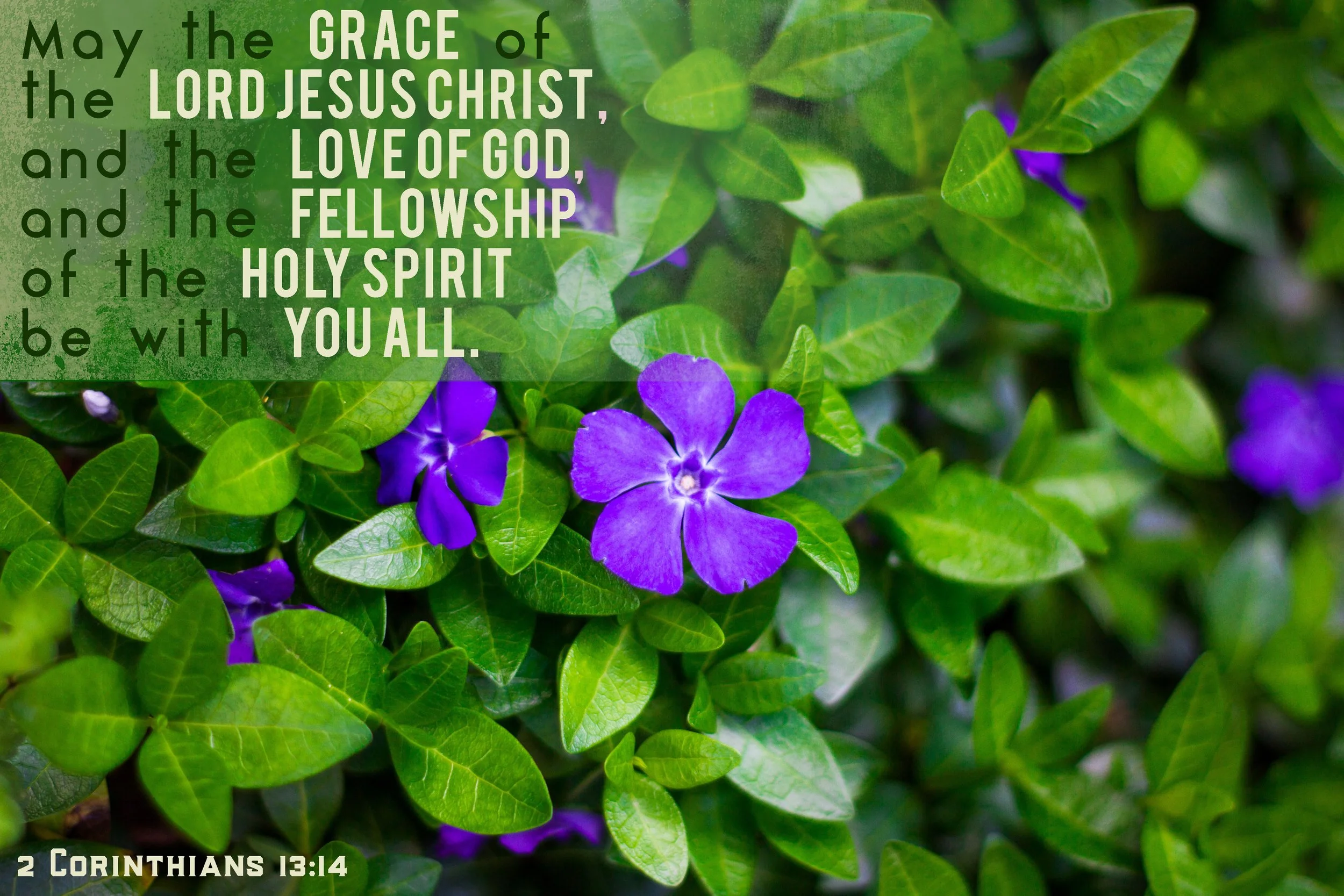 Divine Service: Apostolic Greeting
