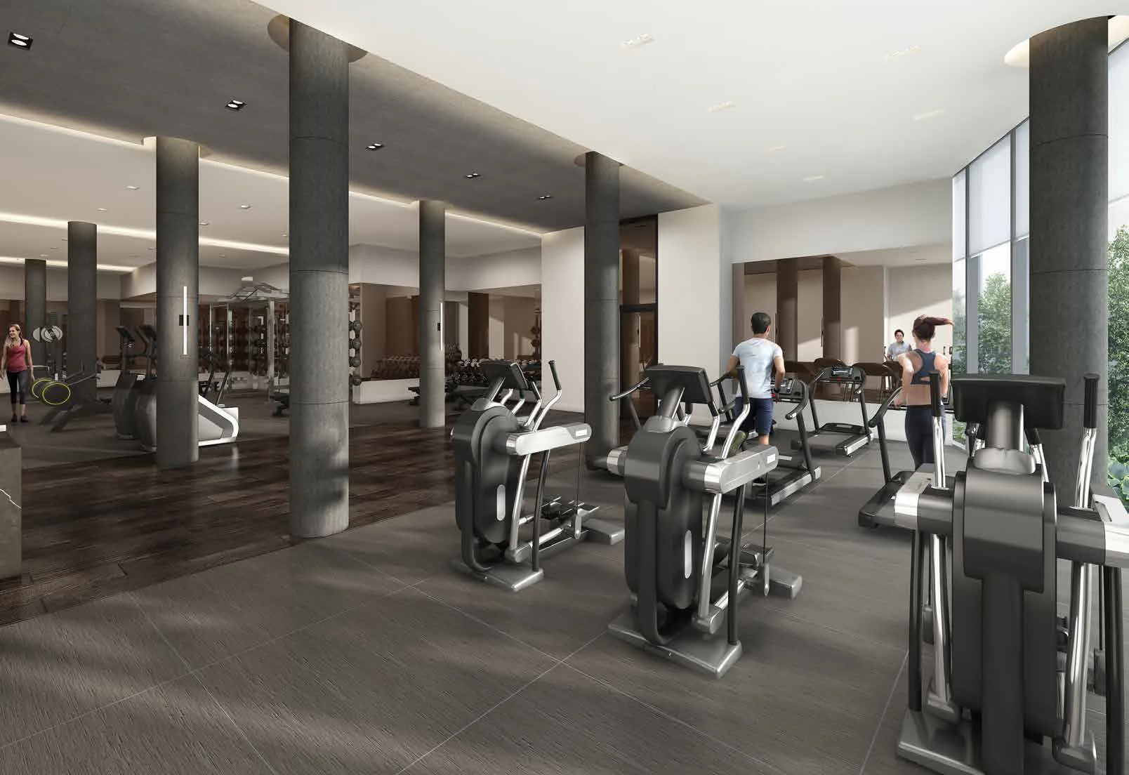 Gym.jpg