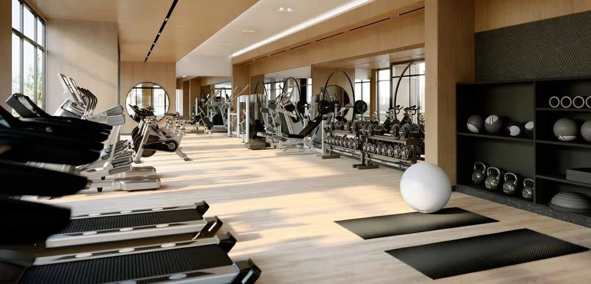 Gym.jpg