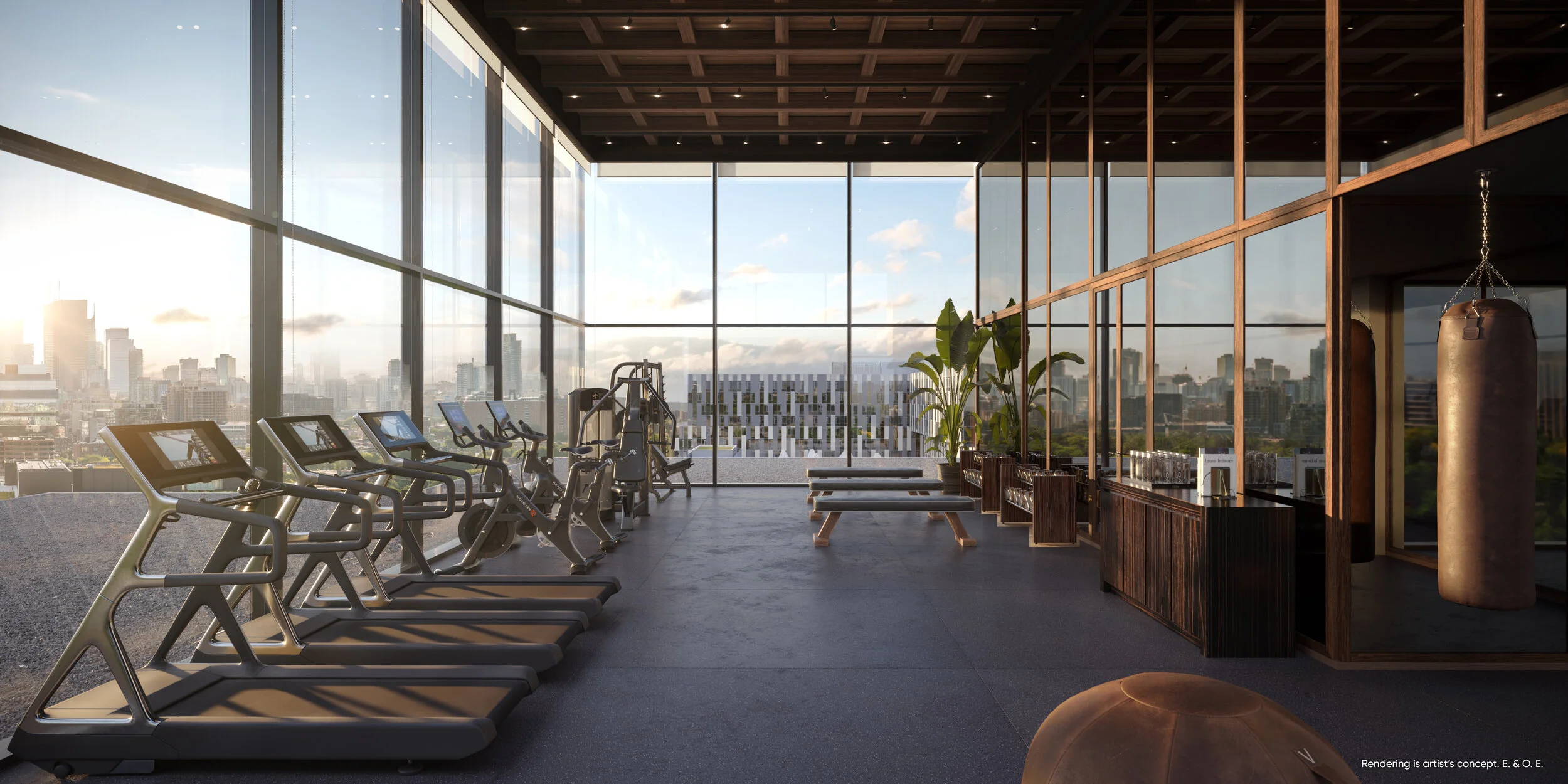 canary_house_fitness_room.jpg