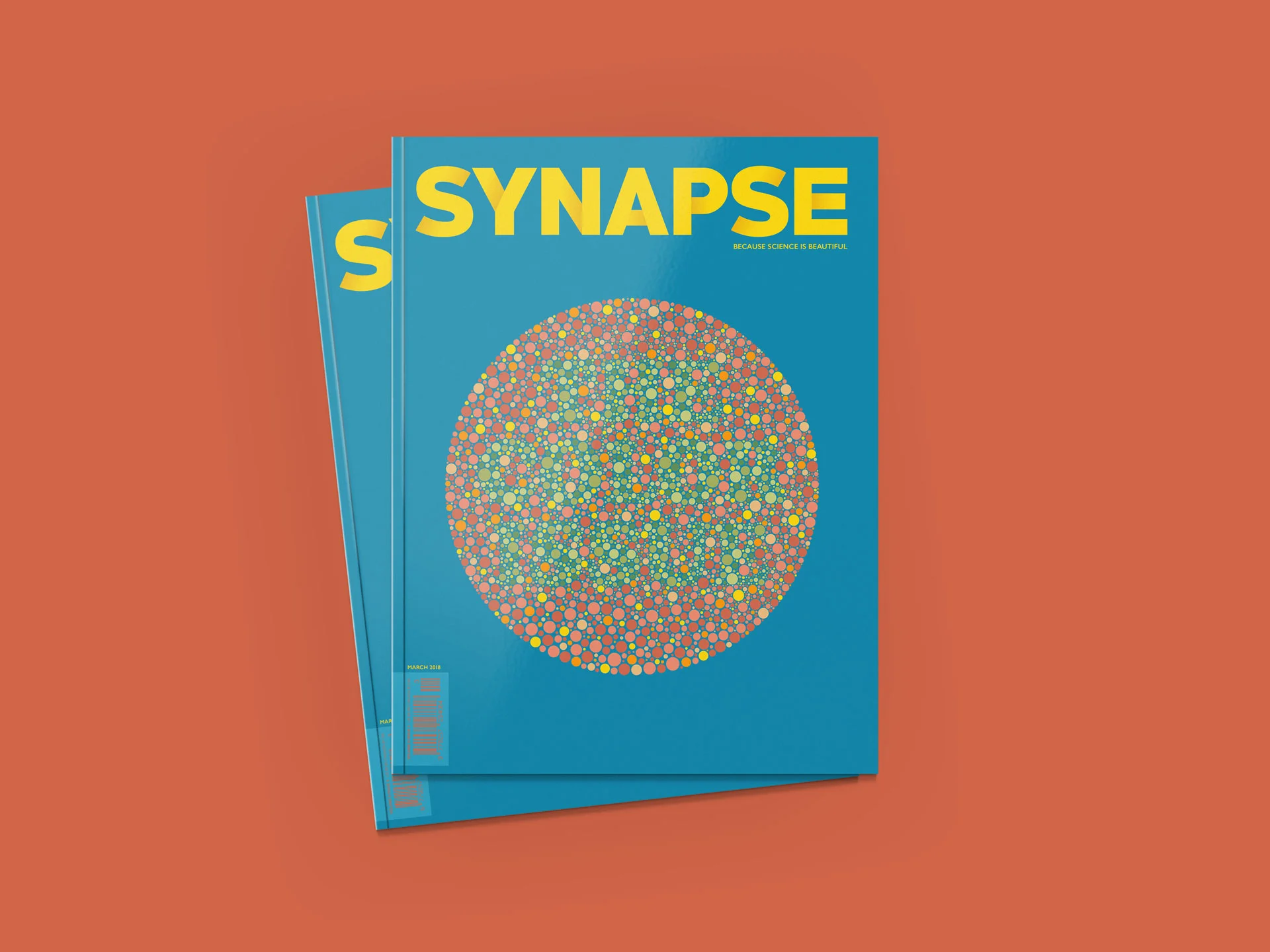 cover_mockup.jpg